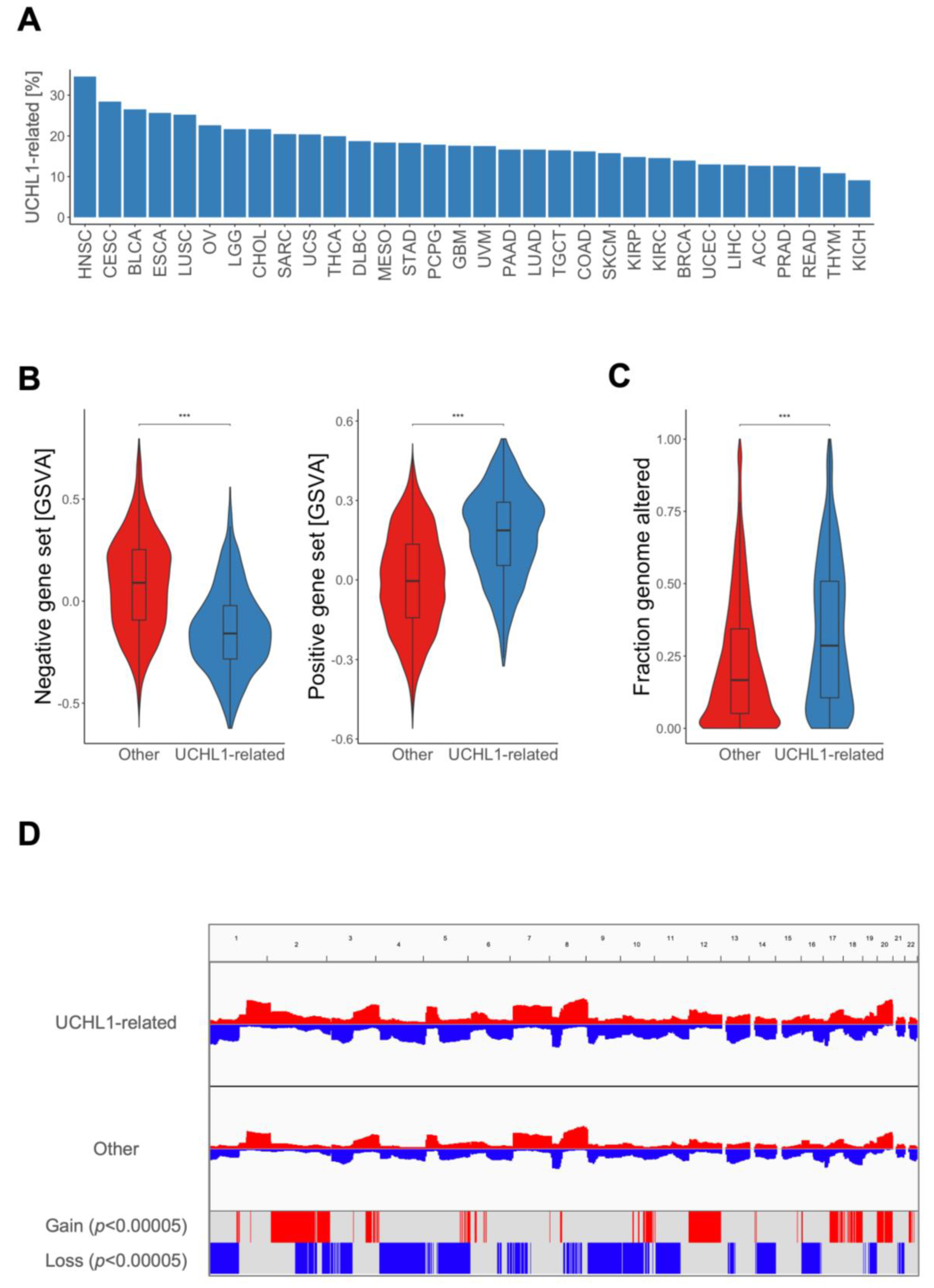 Cancers 15 01655 g003