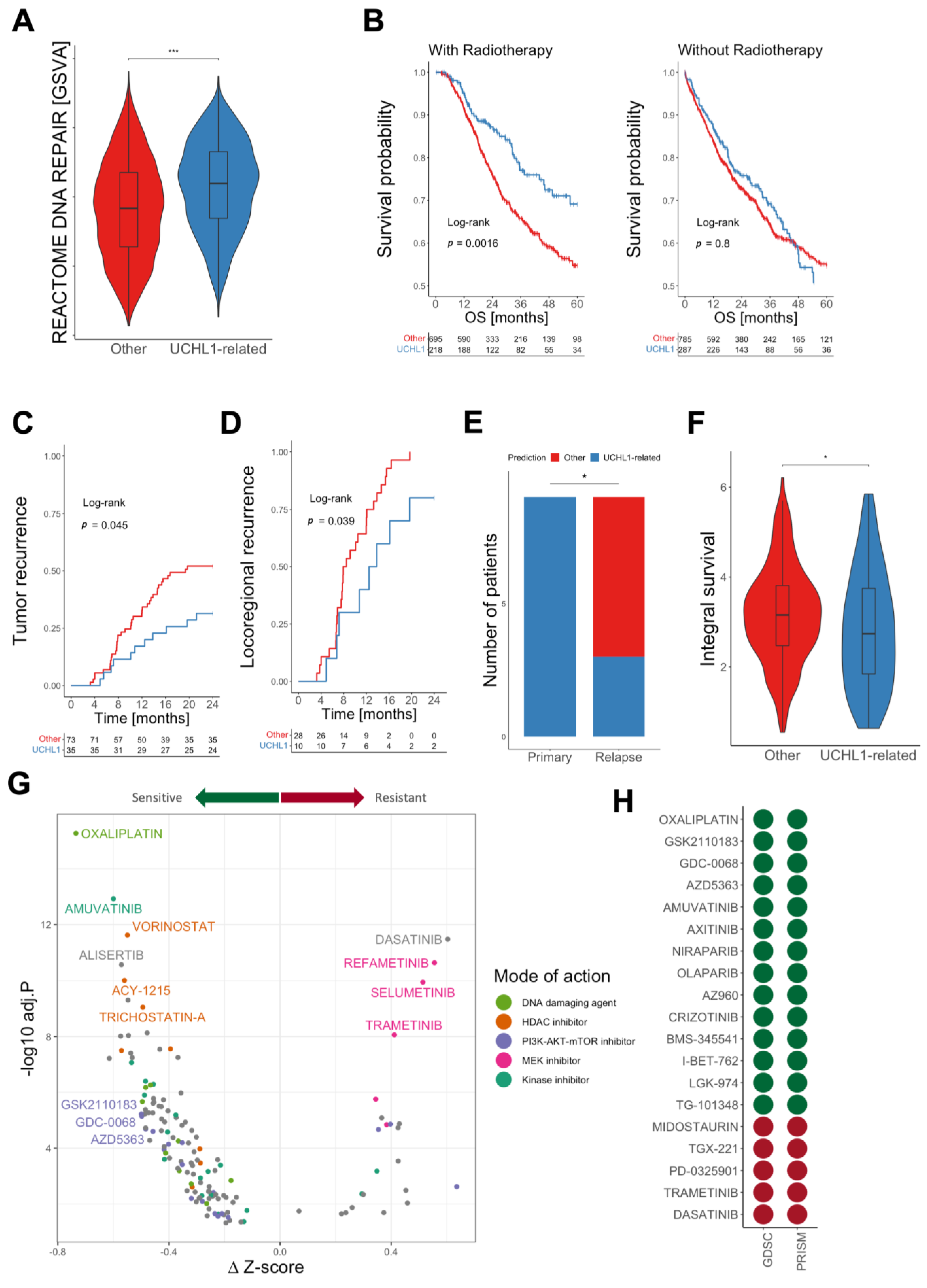 Cancers 15 01655 g004