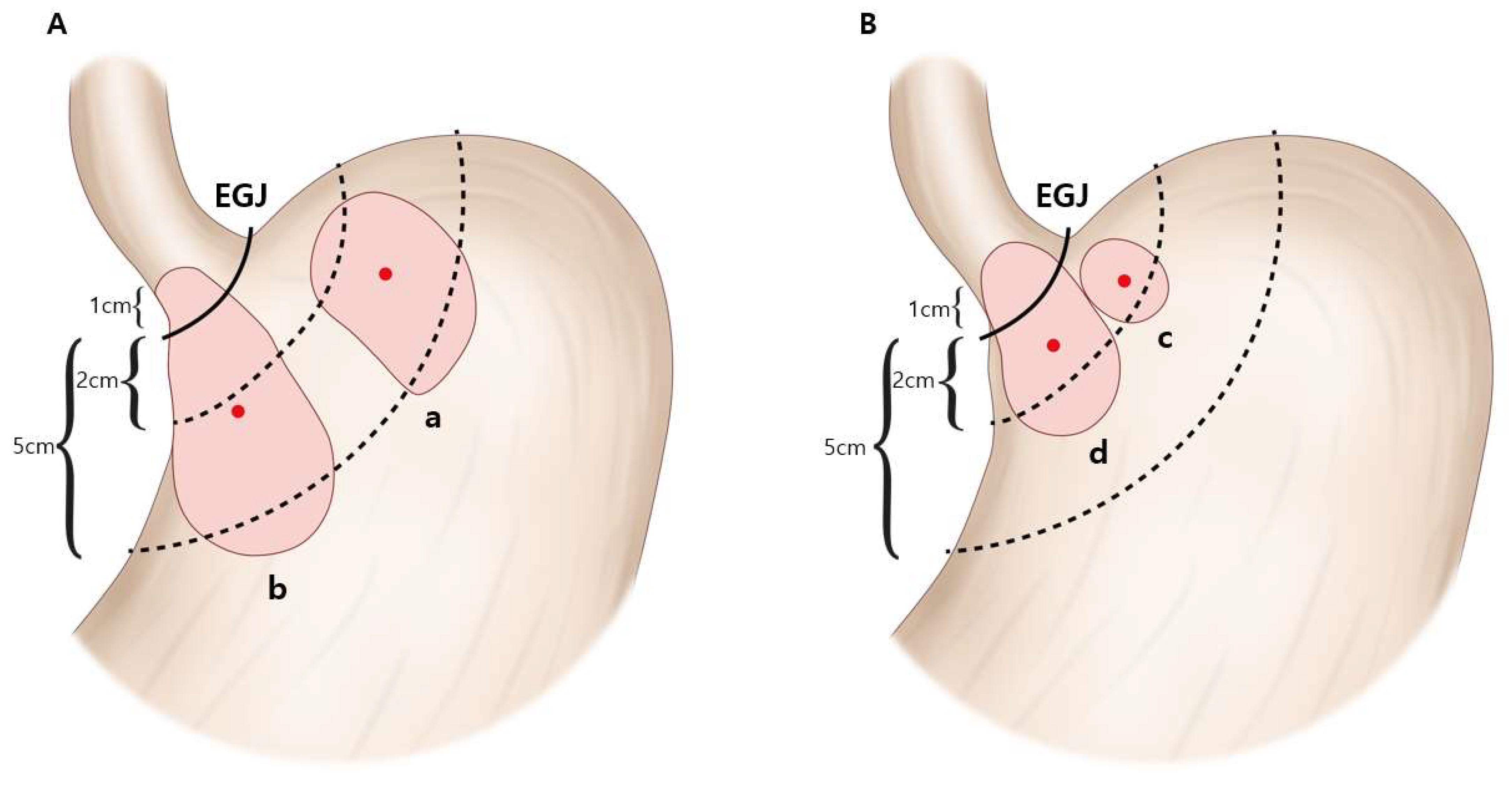 Cancers 15 01656 g001
