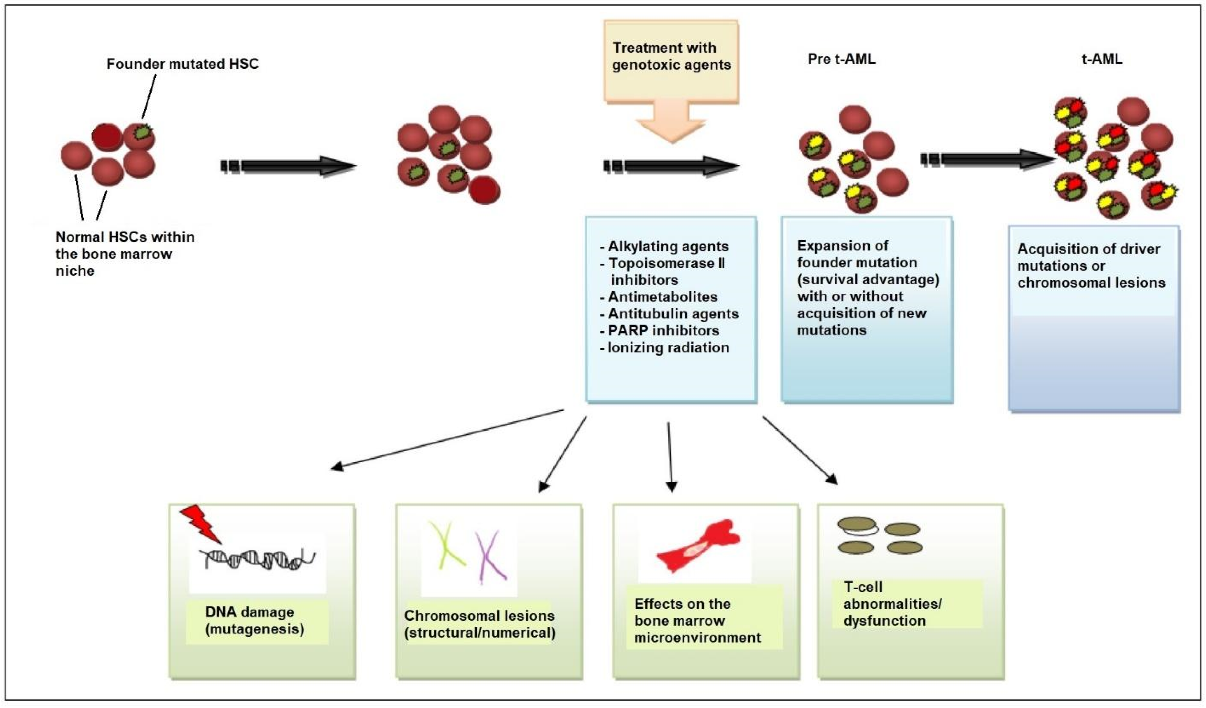 Cancers 15 01658 g001