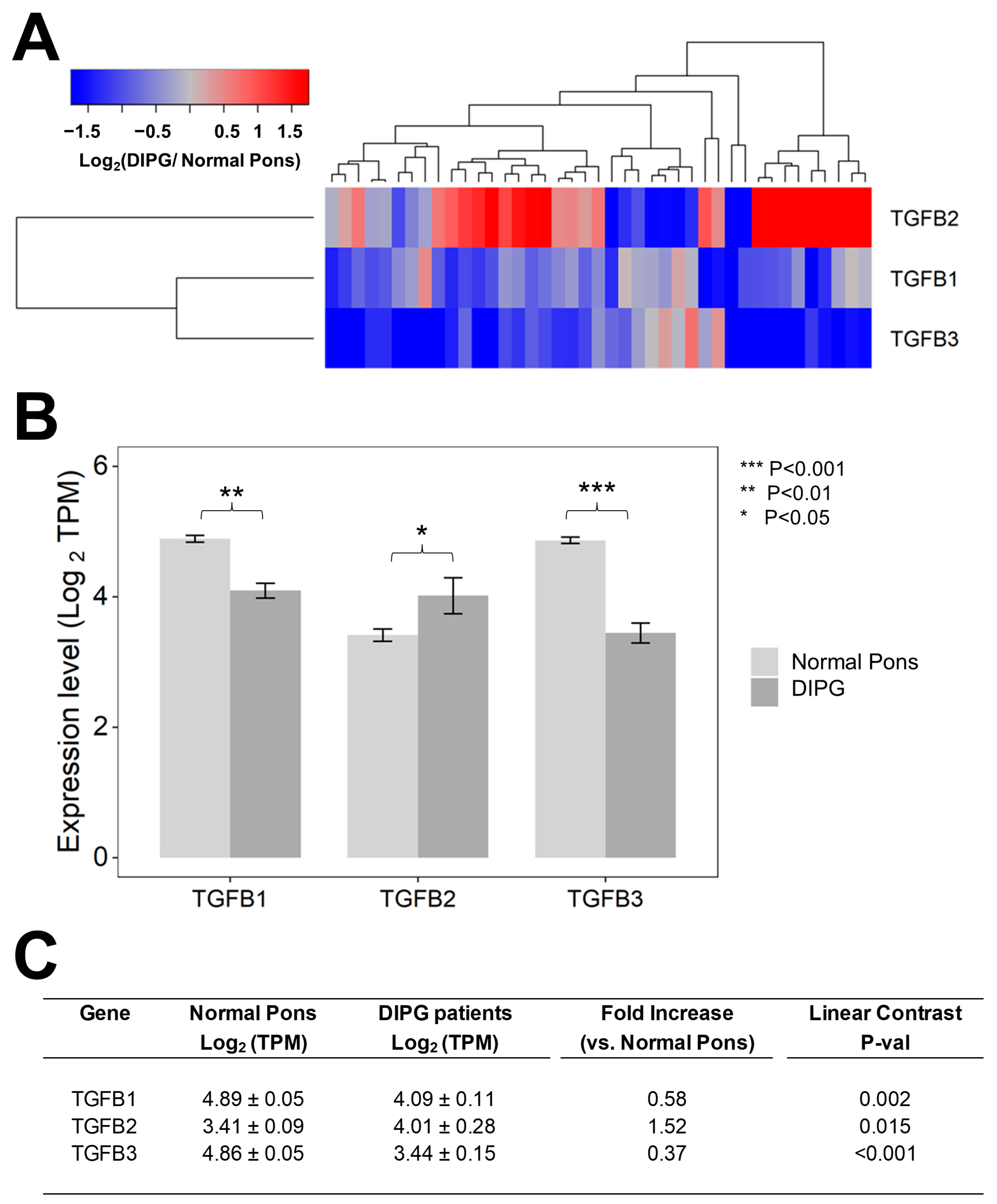 Cancers 15 01676 g001