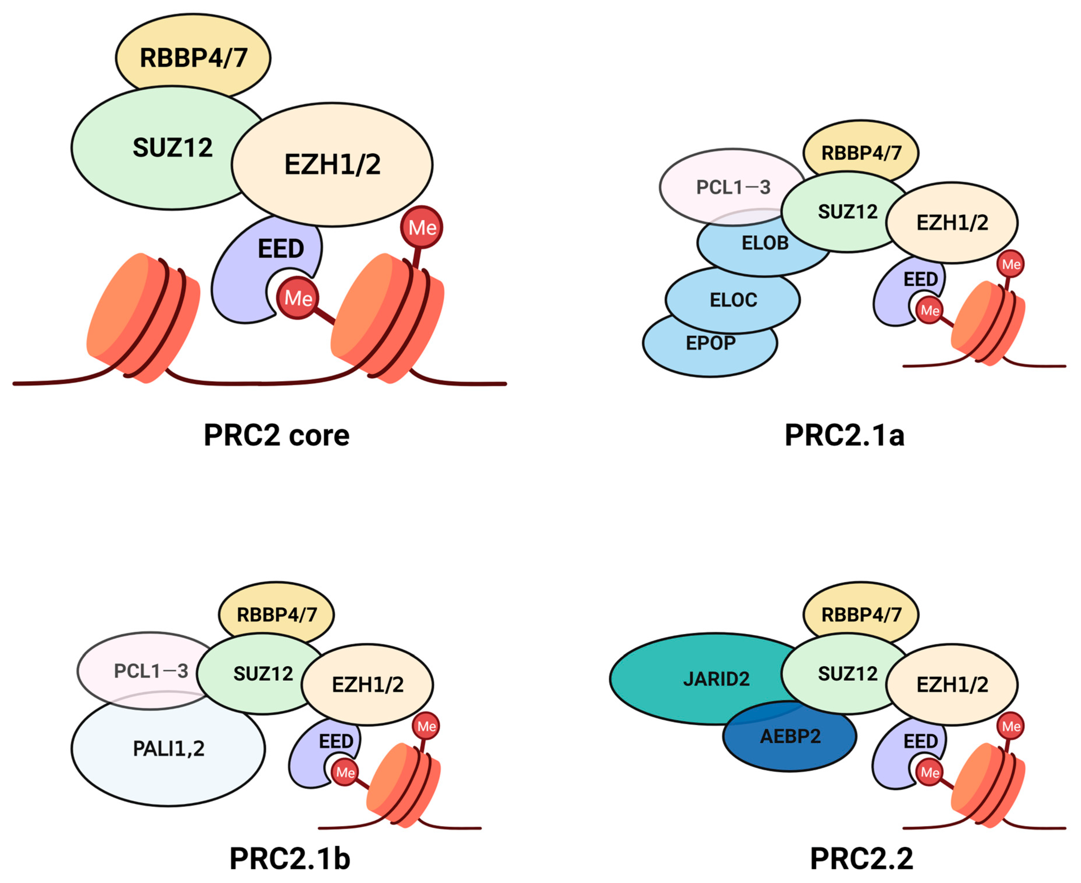 Cancers 15 01693 g001