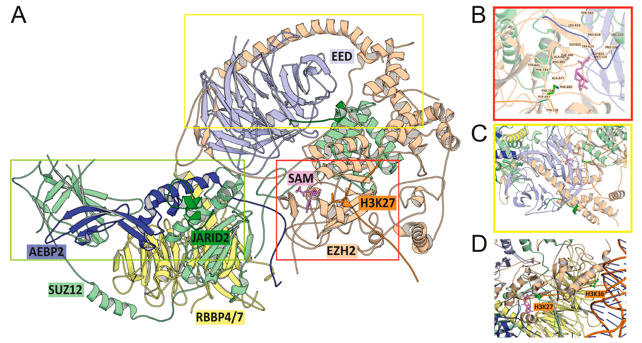 Cancers 15 01693 g002