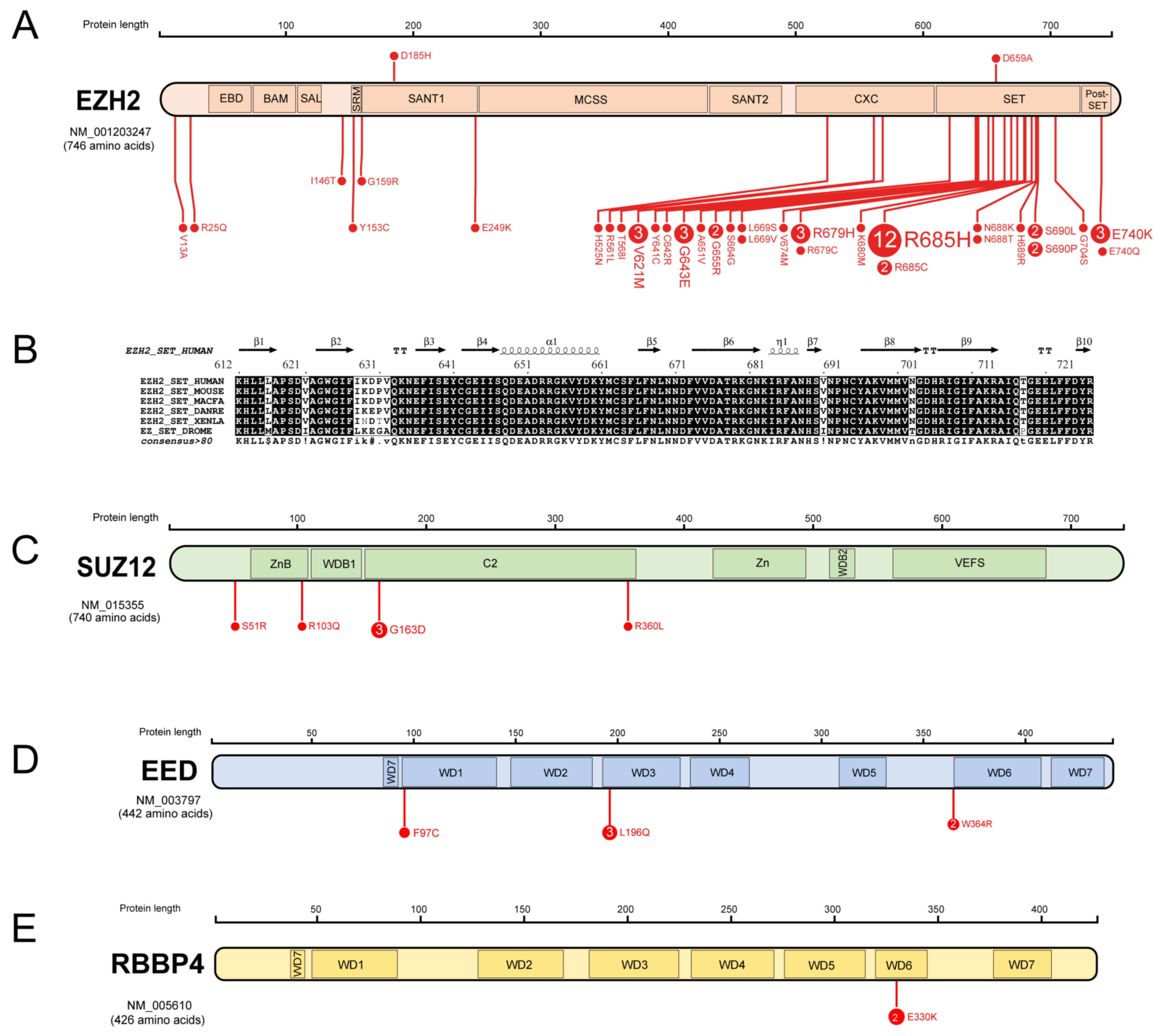 Cancers 15 01693 g003