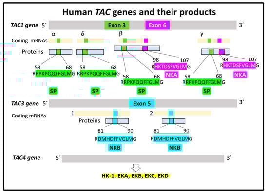 Cancers 15 01694 g002
