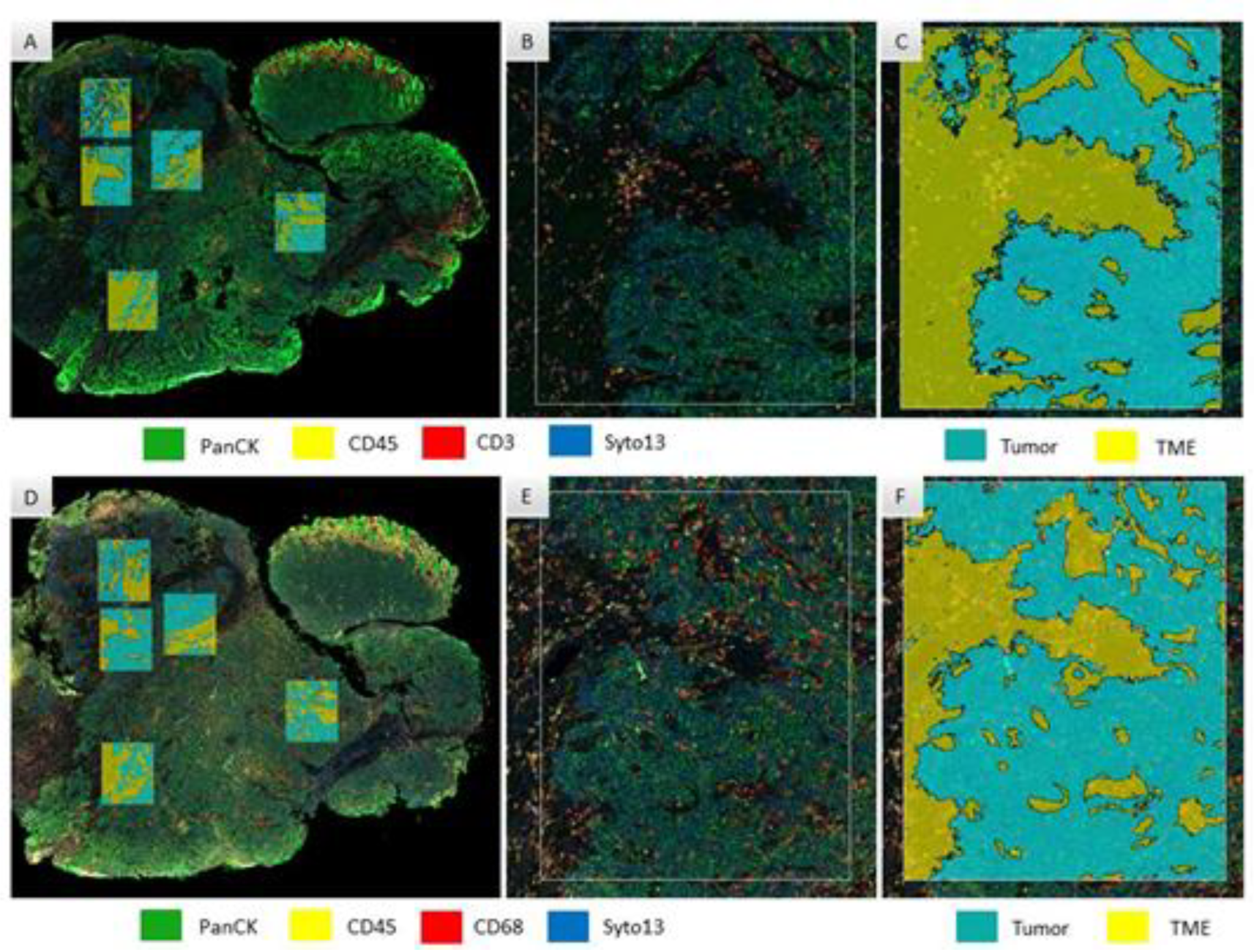 Cancers 15 01701 g001