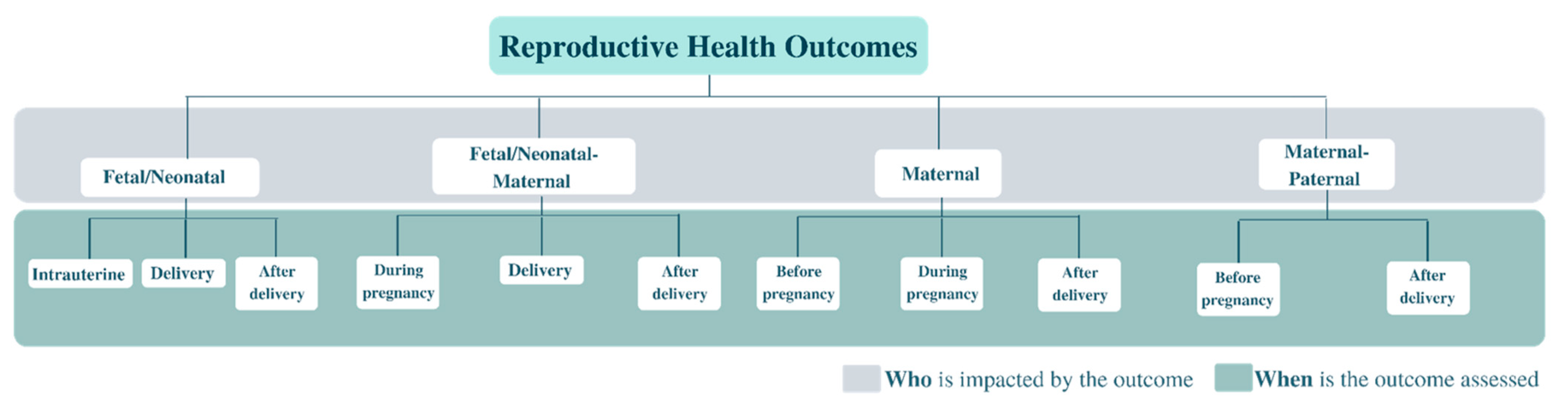 Cancers 15 01707 g002