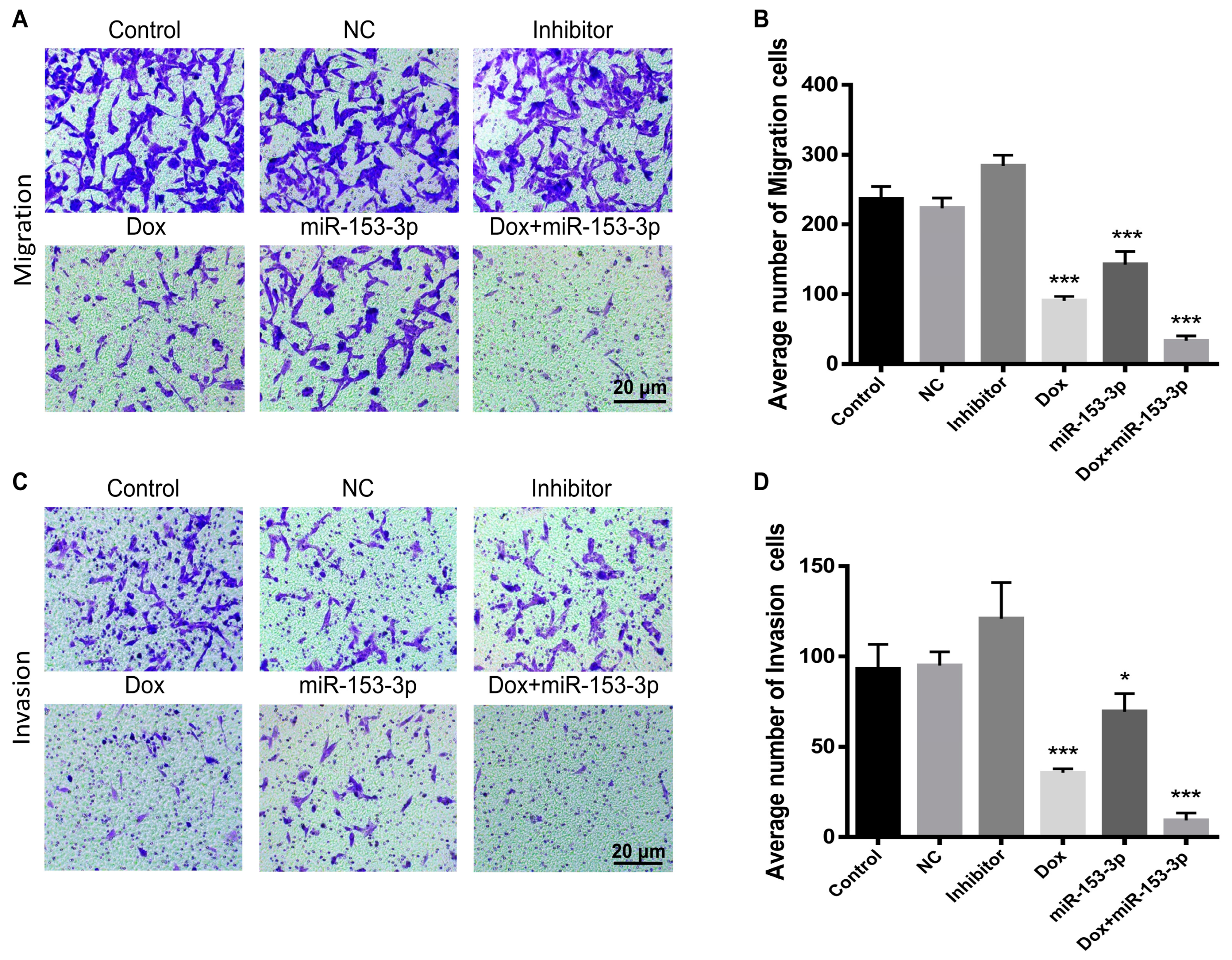 Cancers 15 01724 g007