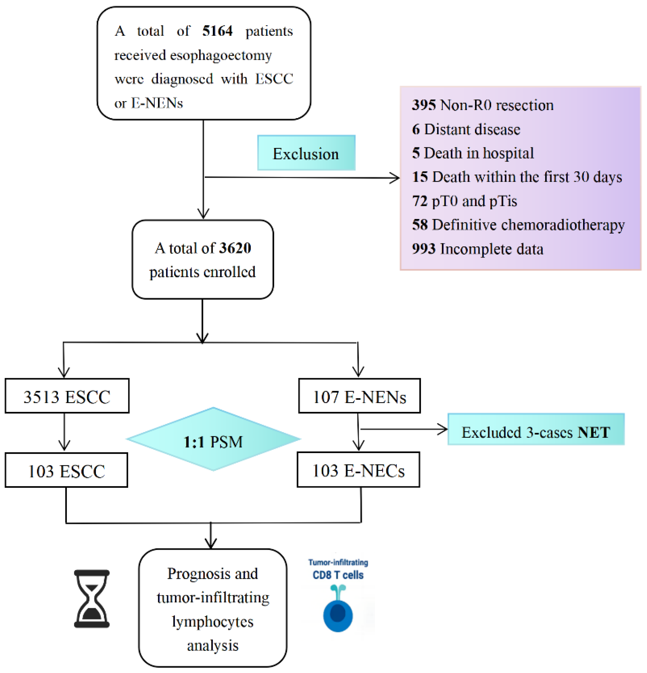 Cancers 15 01732 g001