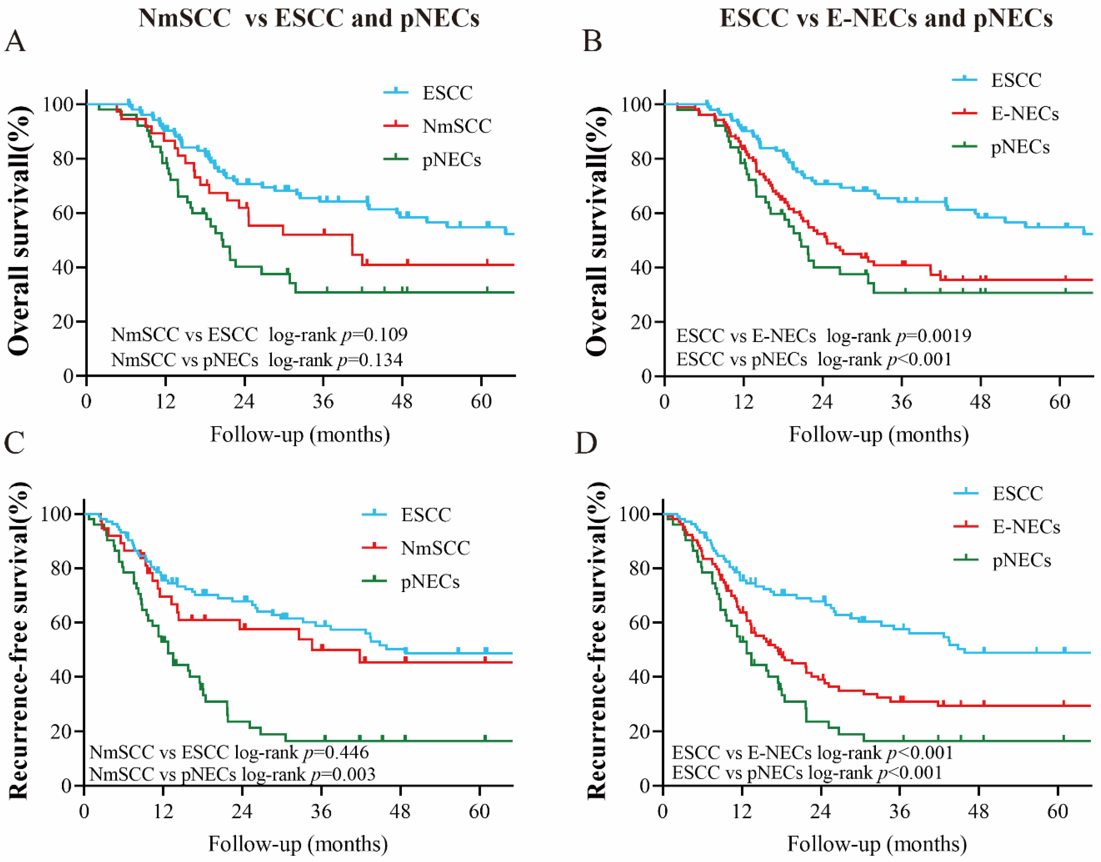 Cancers 15 01732 g005
