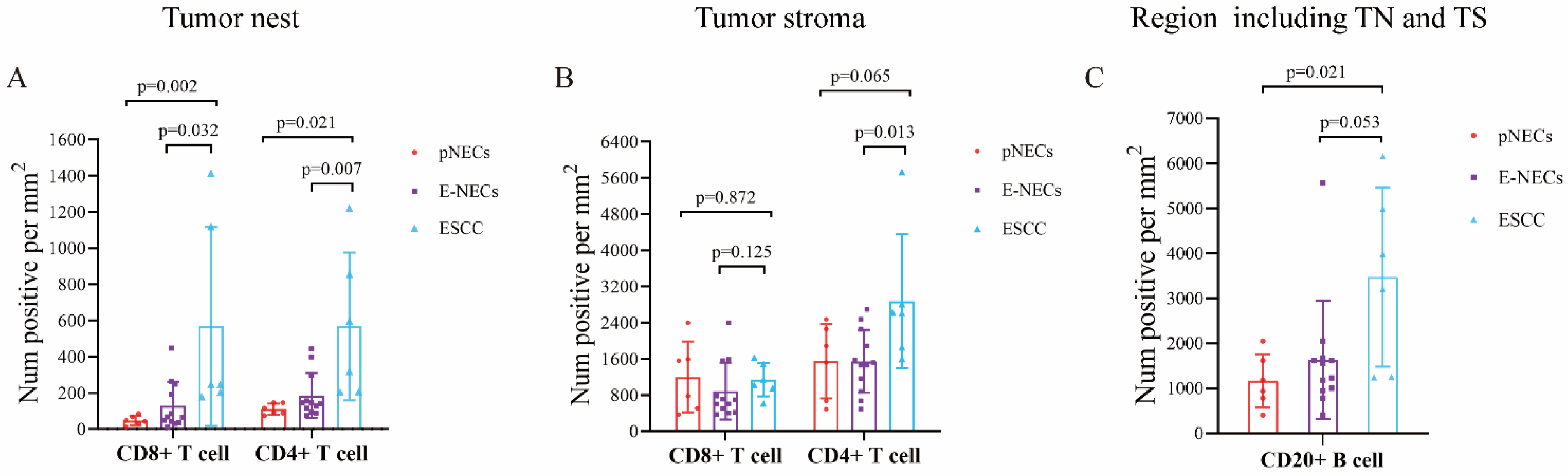 Cancers 15 01732 g007