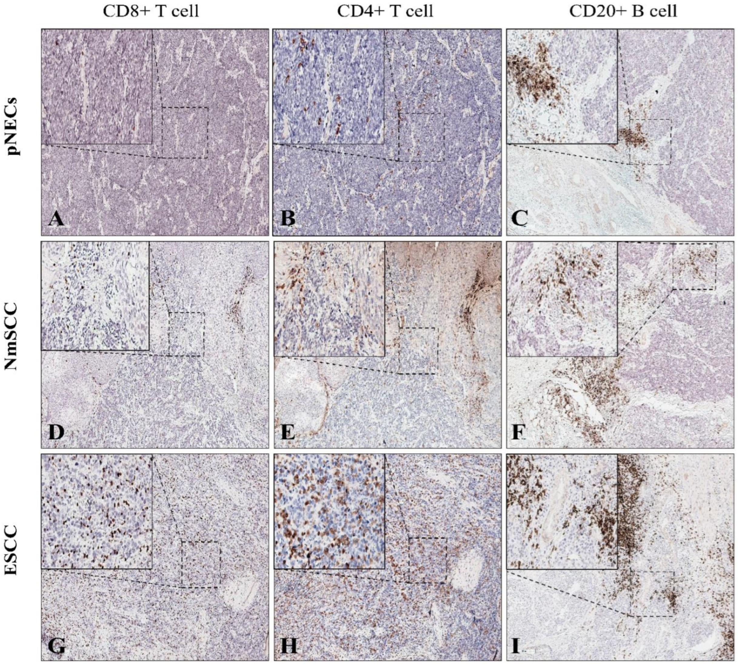 Cancers 15 01732 g008