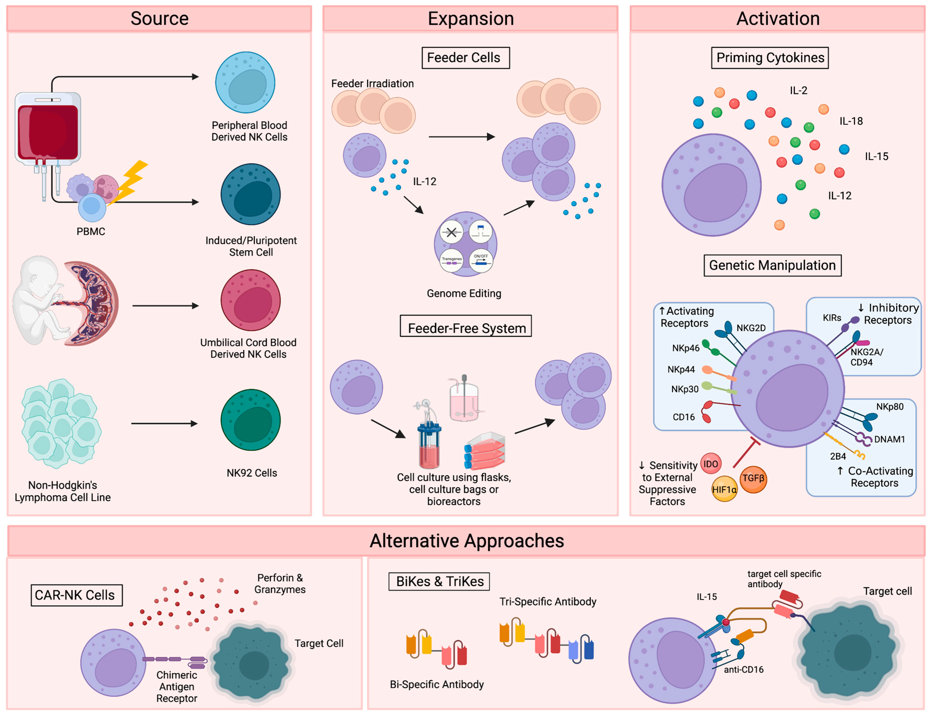 Cancers 15 01743 g001