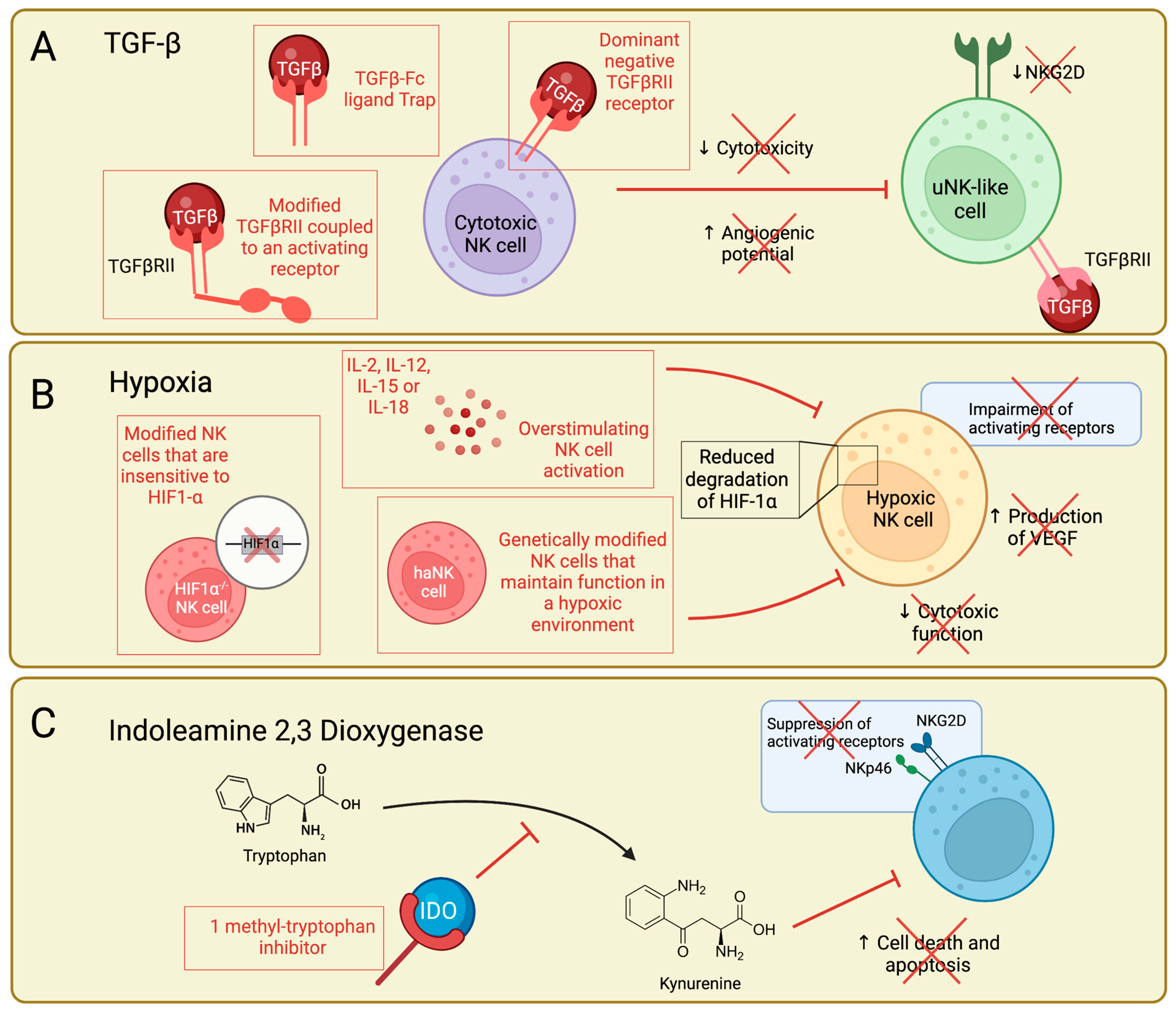 Cancers 15 01743 g003