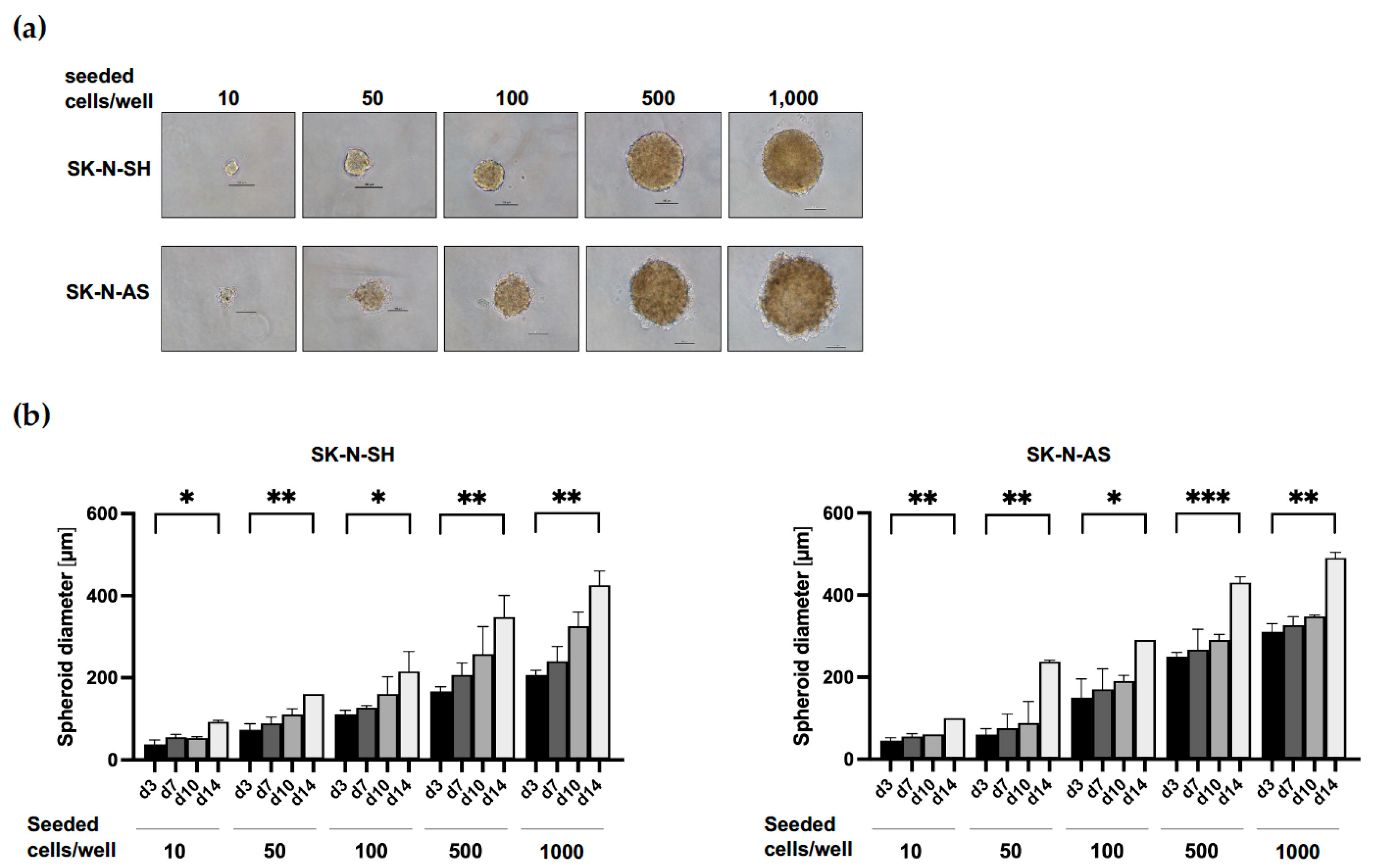 Cancers 15 01749 g001