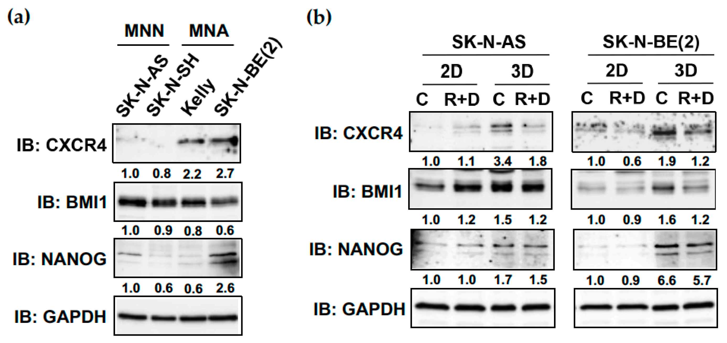 Cancers 15 01749 g007