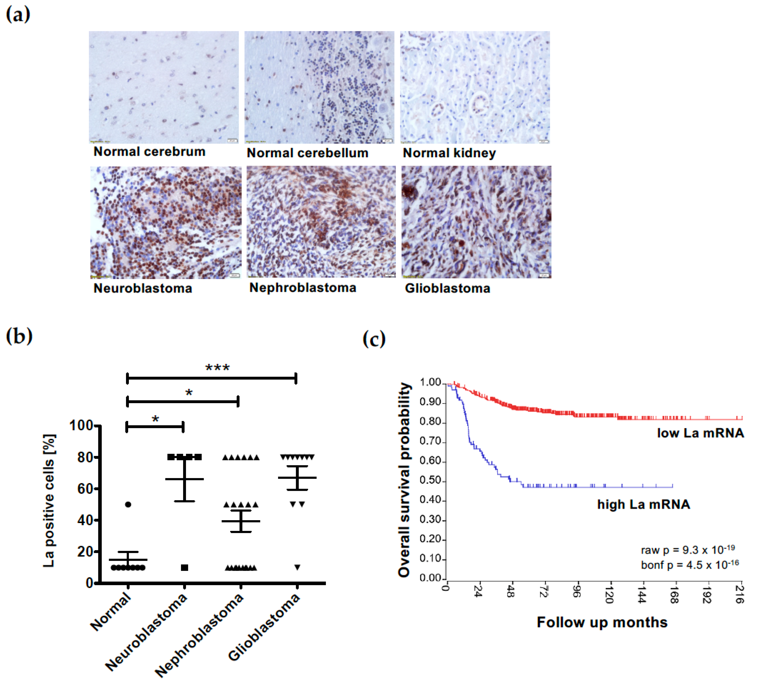 Cancers 15 01749 g009