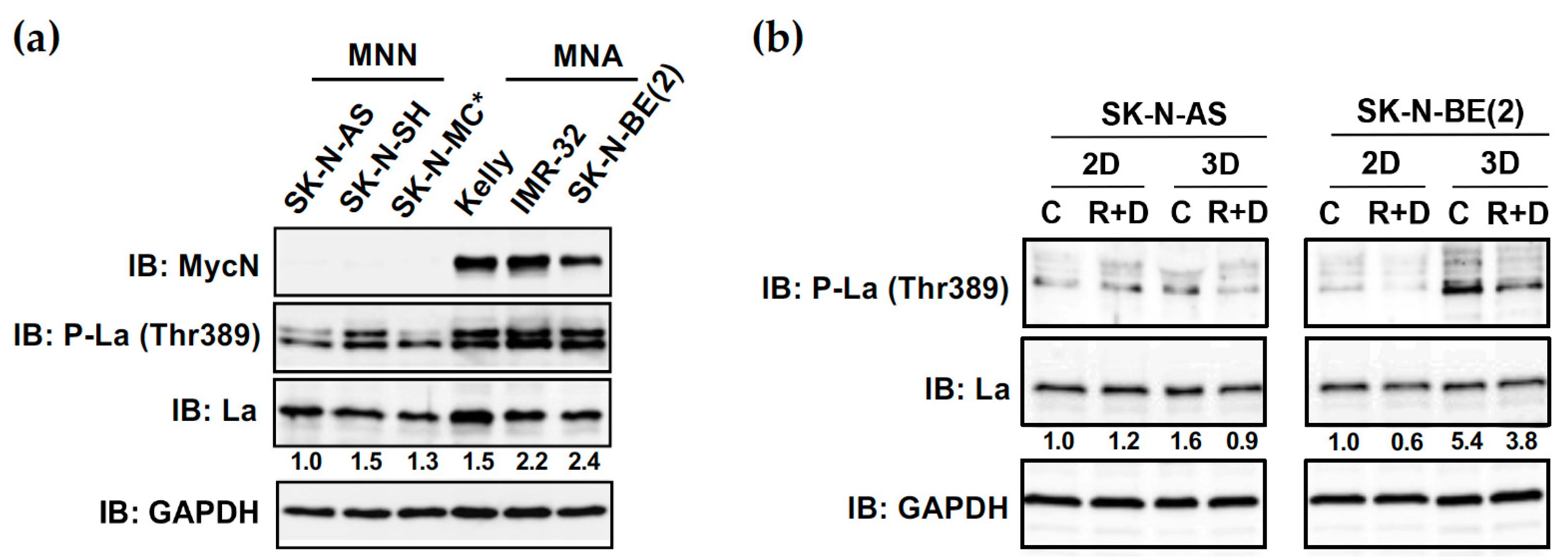 Cancers 15 01749 g010