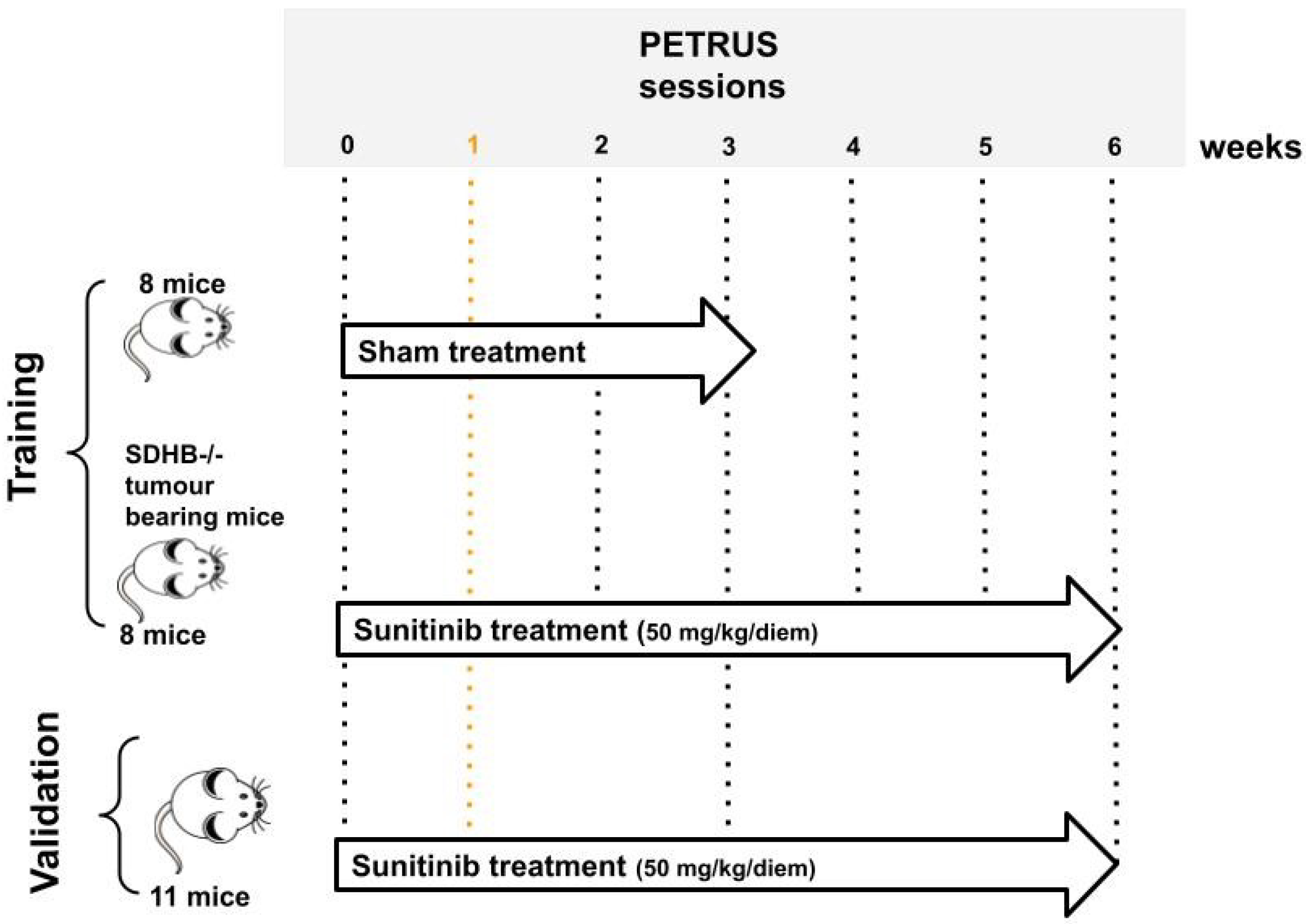 Cancers 15 01751 g002