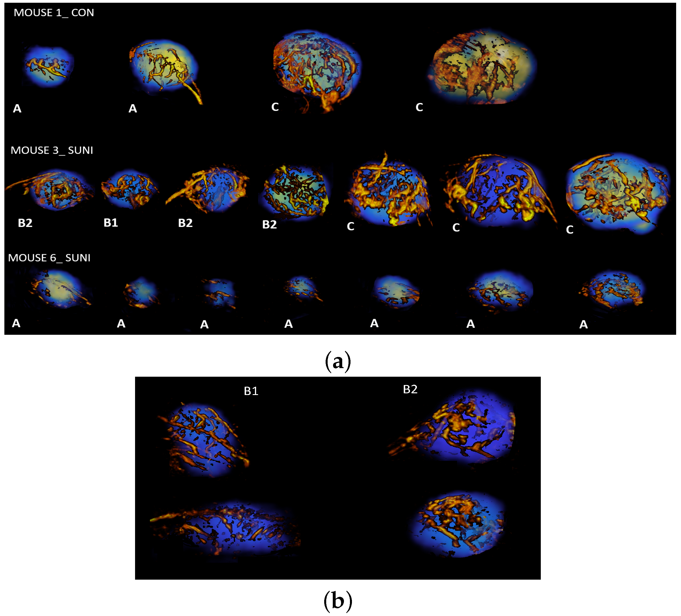 Cancers 15 01751 g006