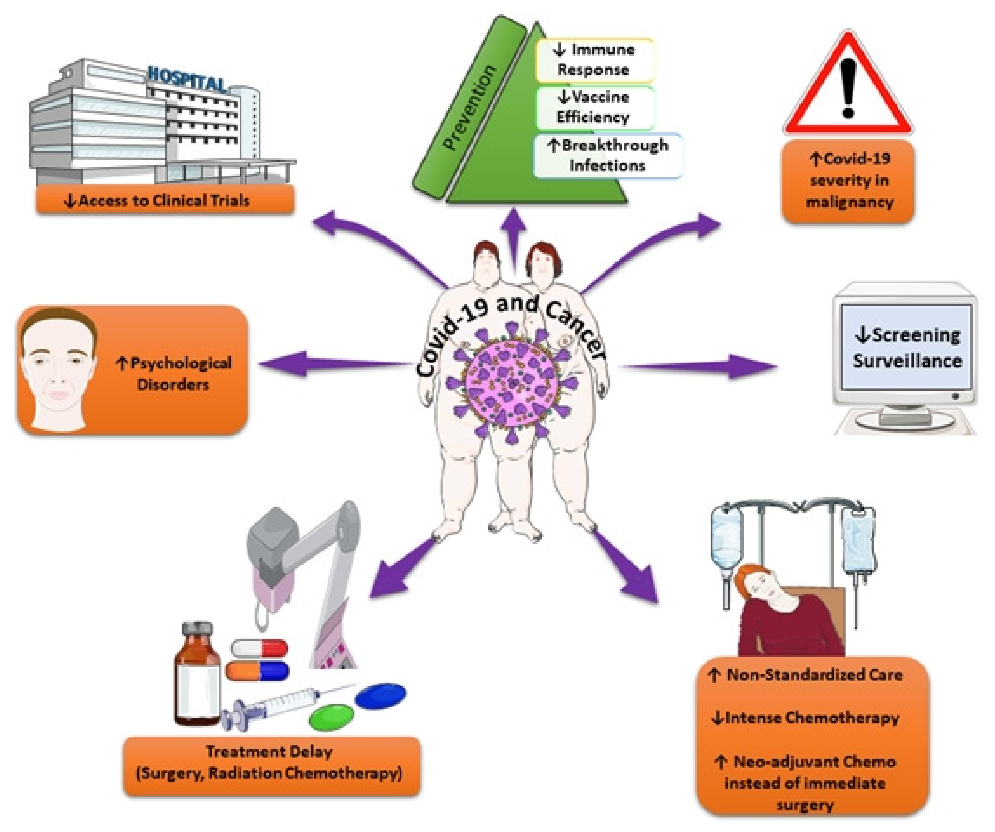 Cancers 15 01771 g001