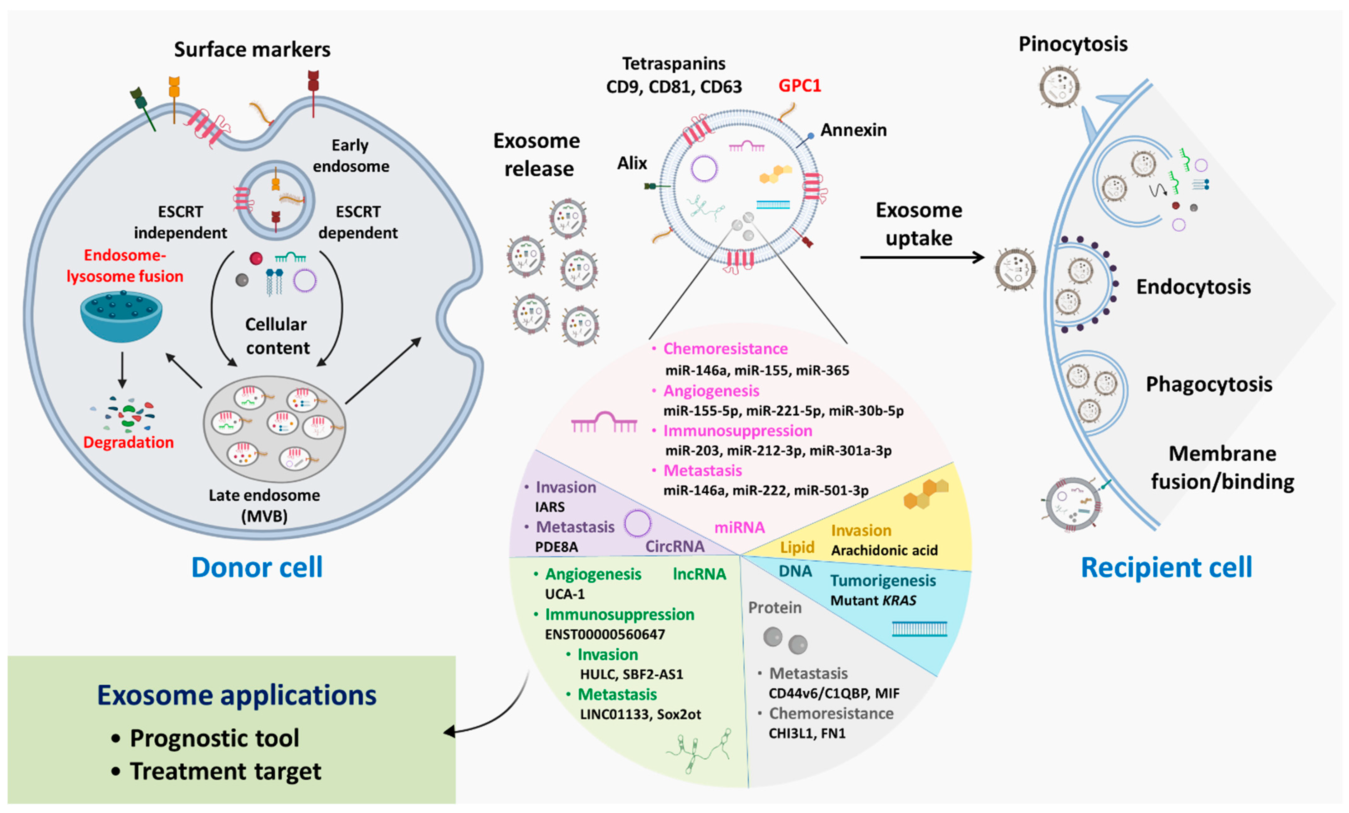 Cancers 15 01776 g001