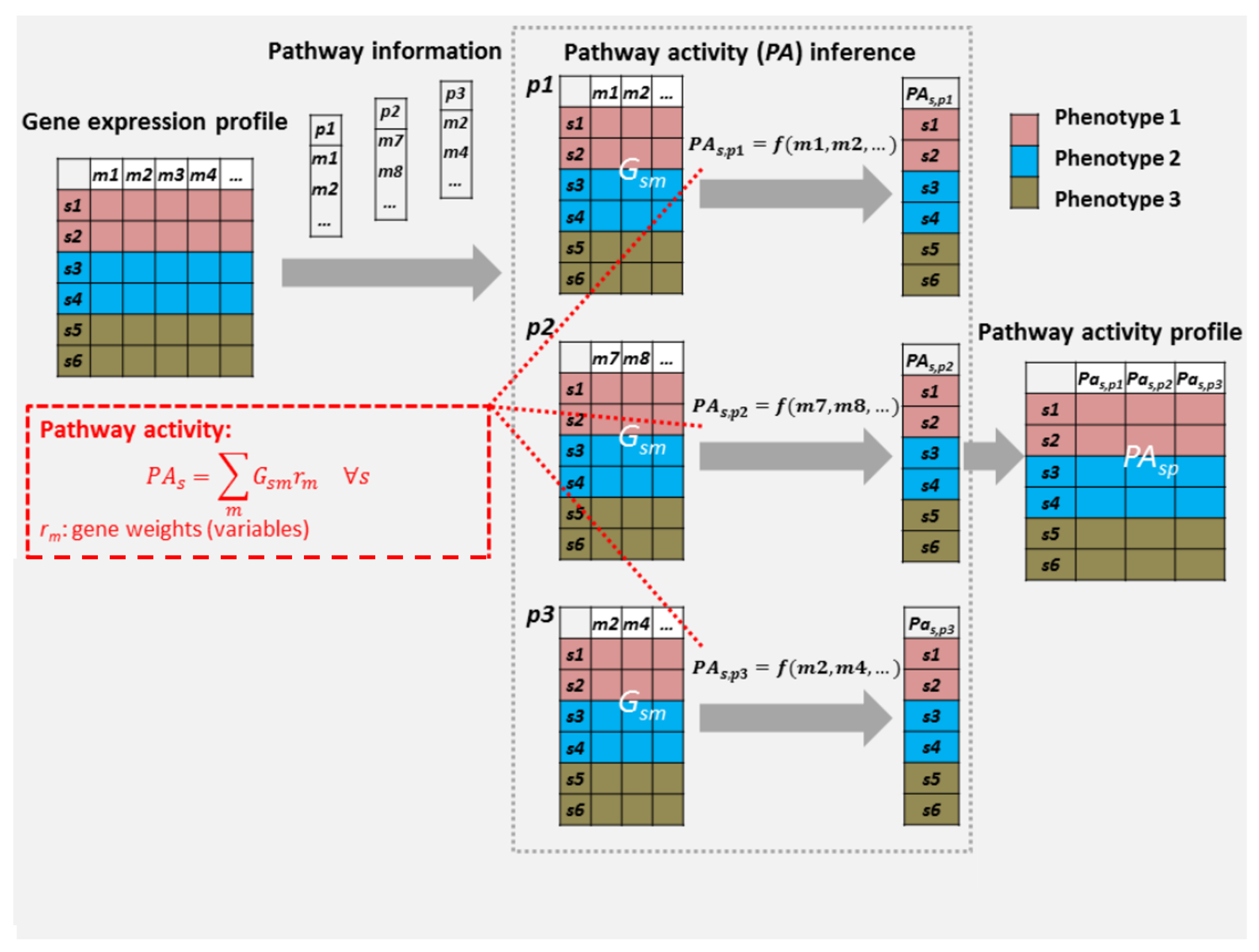 Cancers 15 01787 g001