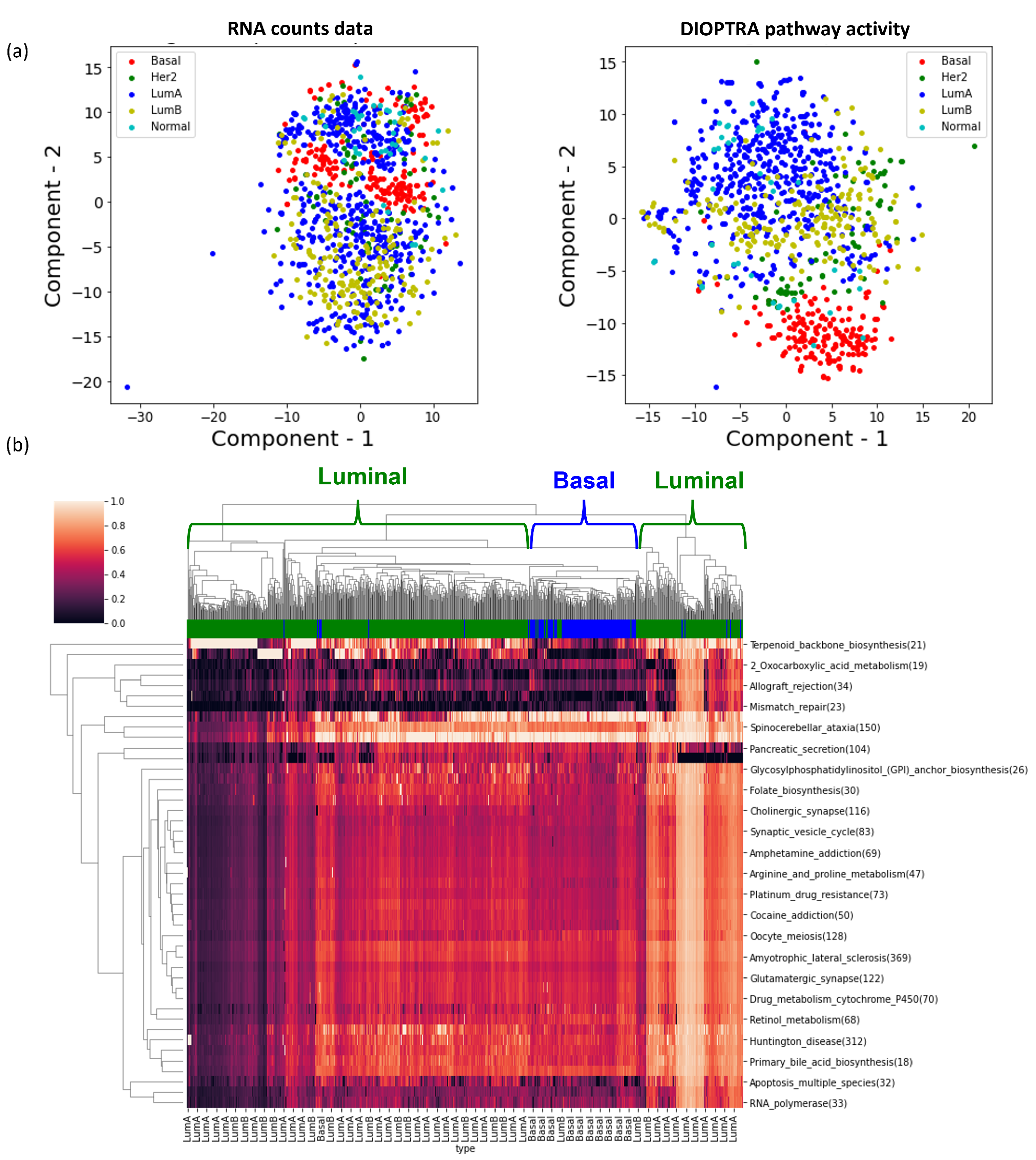Cancers 15 01787 g005