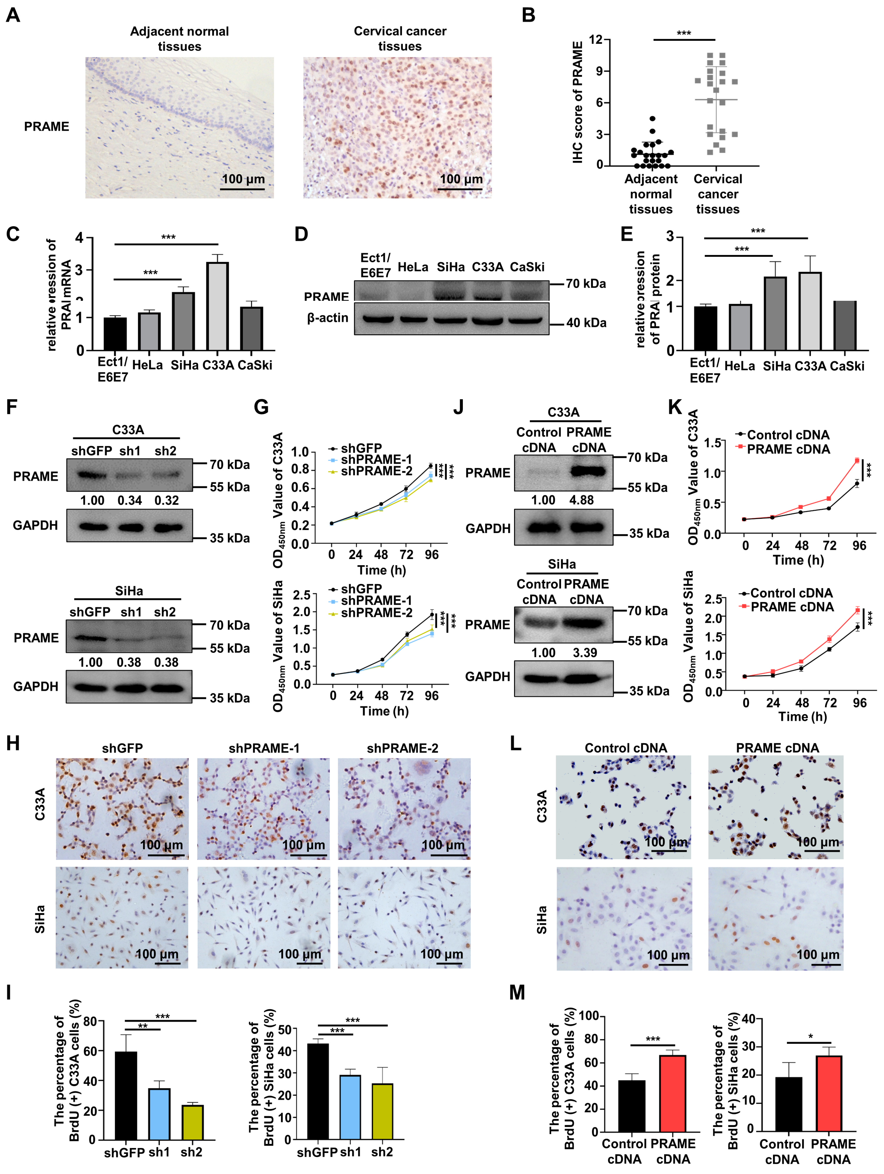 Cancers 15 01801 g001