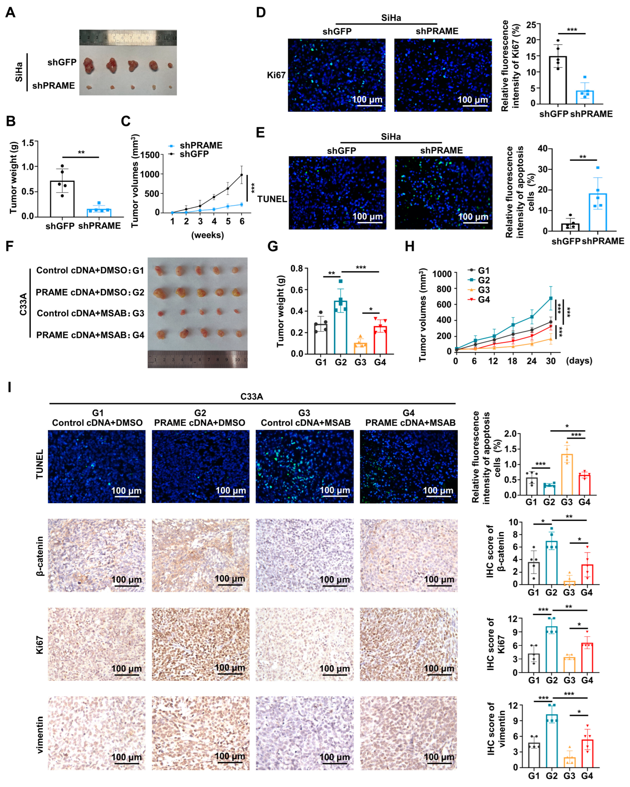 Cancers 15 01801 g007