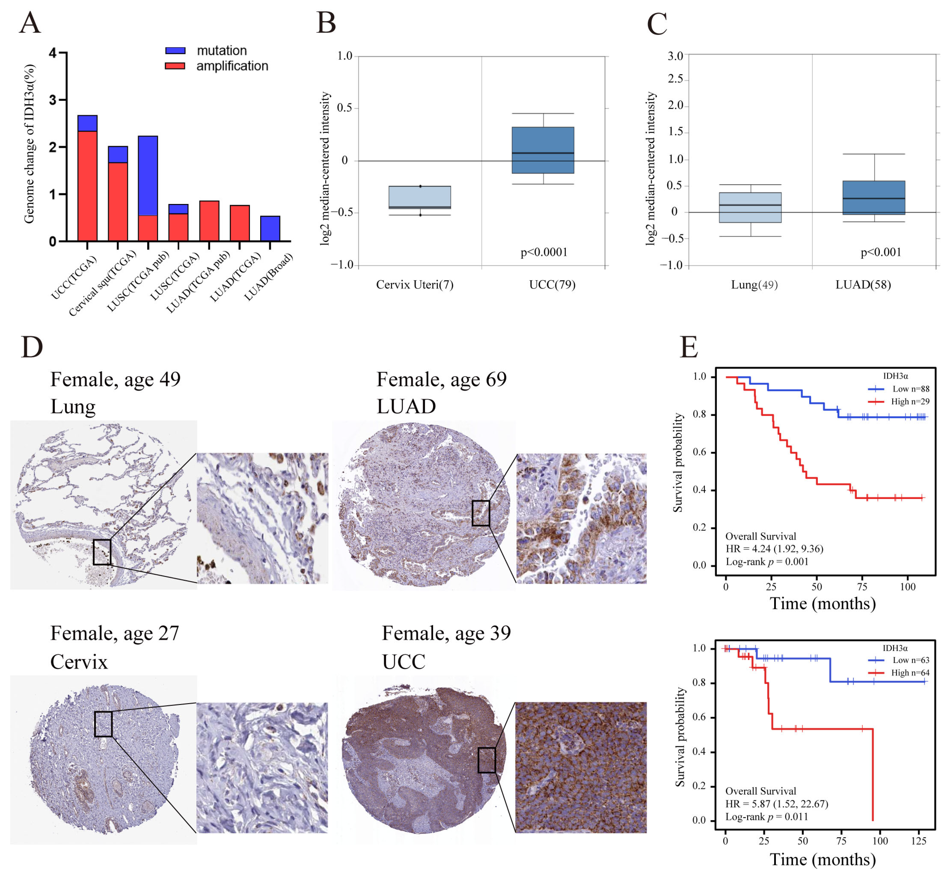 Cancers 15 01802 g001