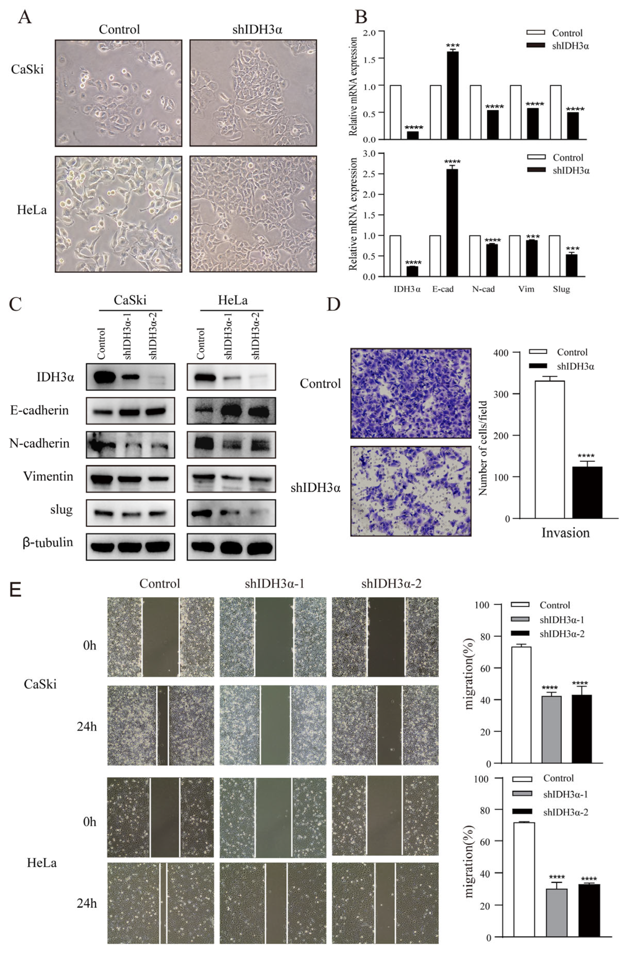 Cancers 15 01802 g003a