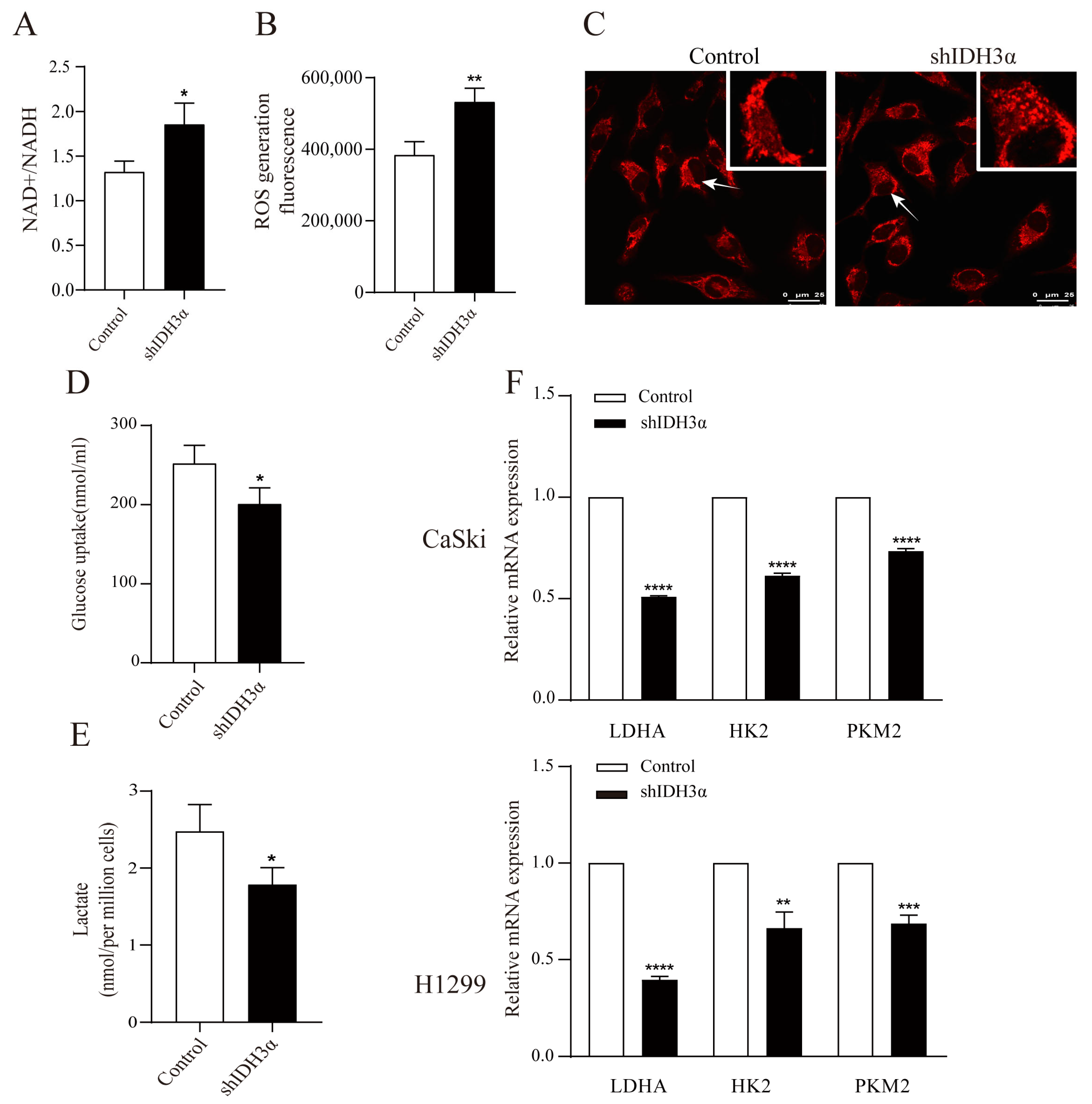Cancers 15 01802 g004