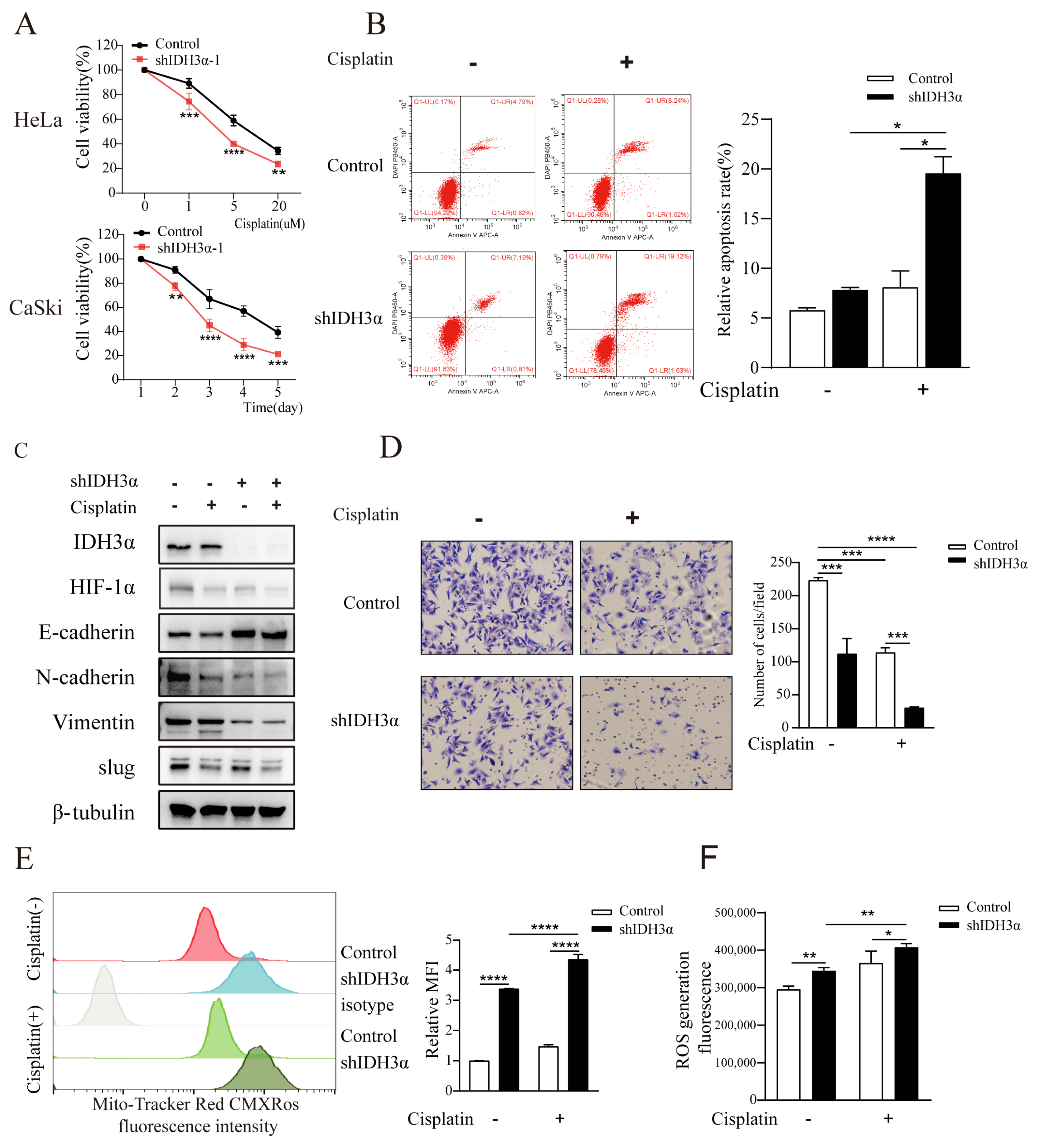 Cancers 15 01802 g005