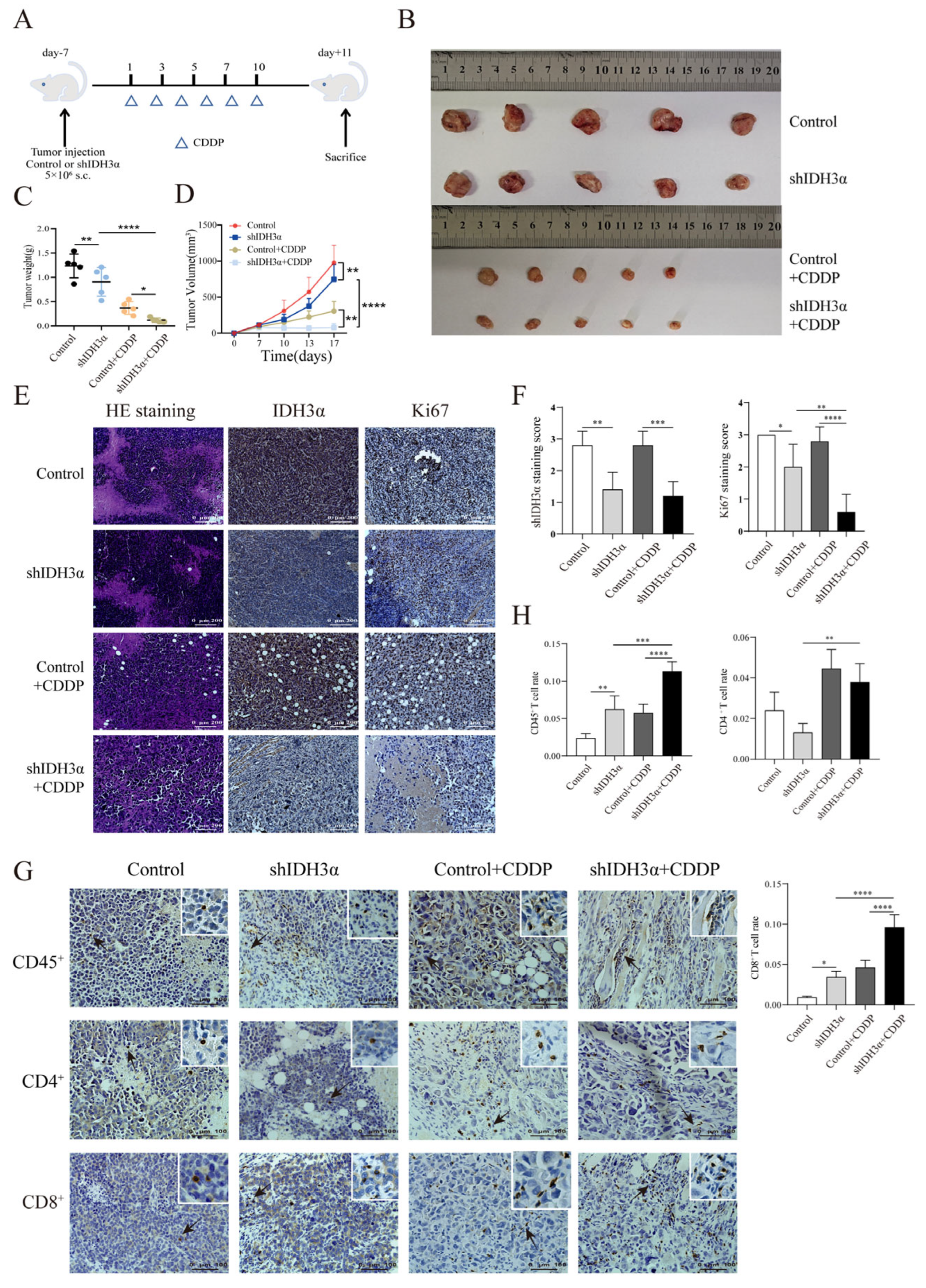 Cancers 15 01802 g006