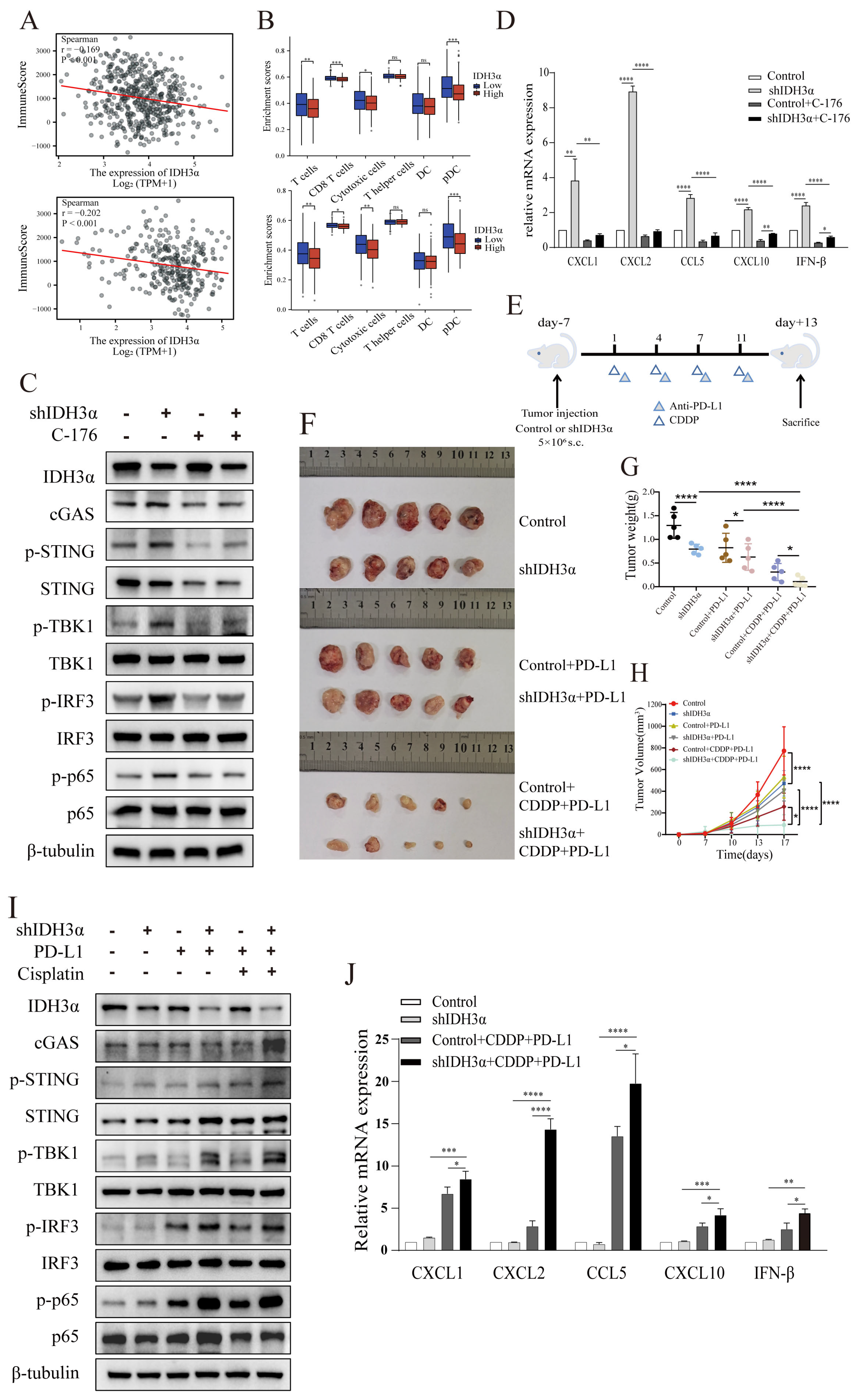 Cancers 15 01802 g007a