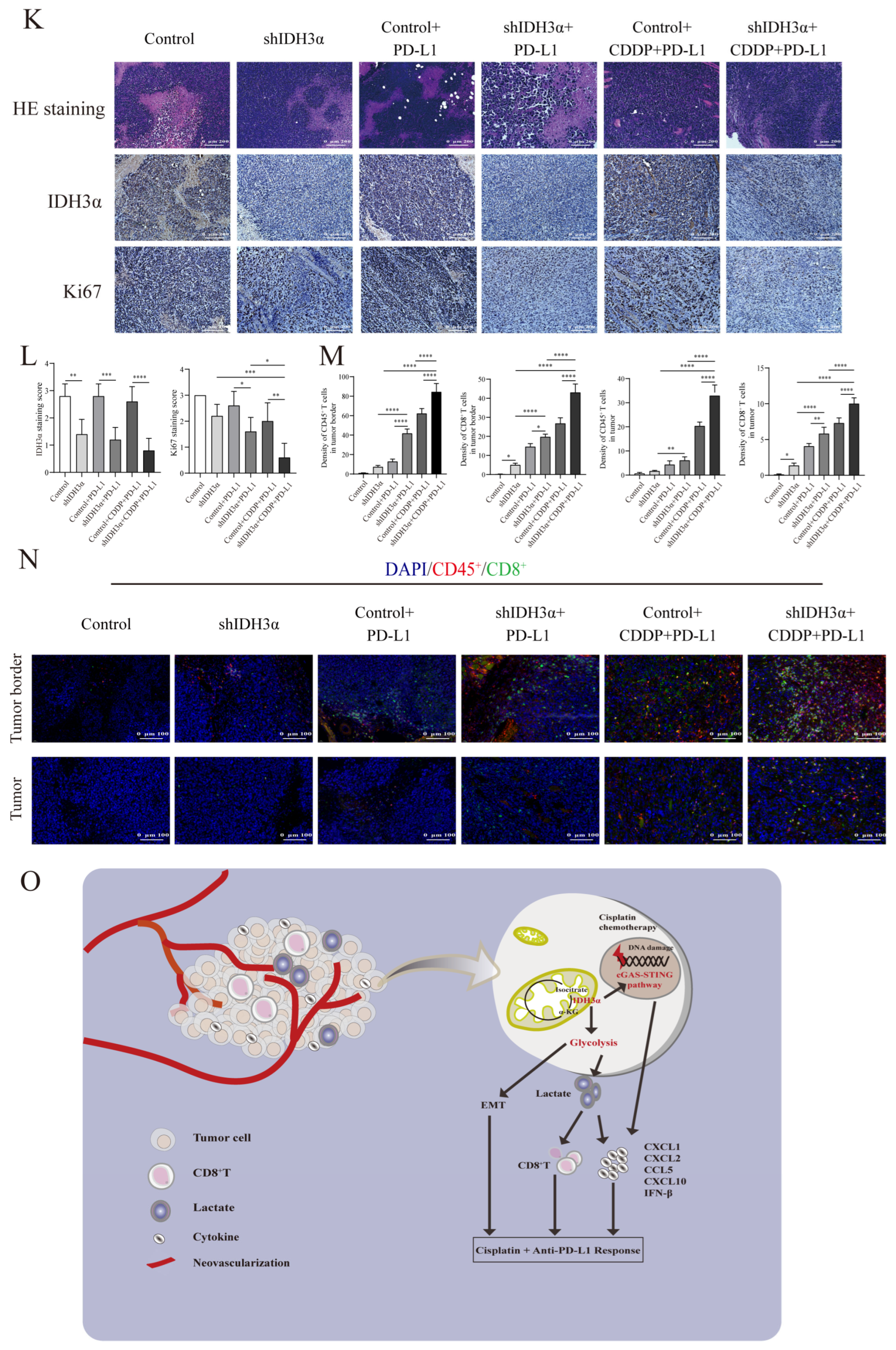 Cancers 15 01802 g007b
