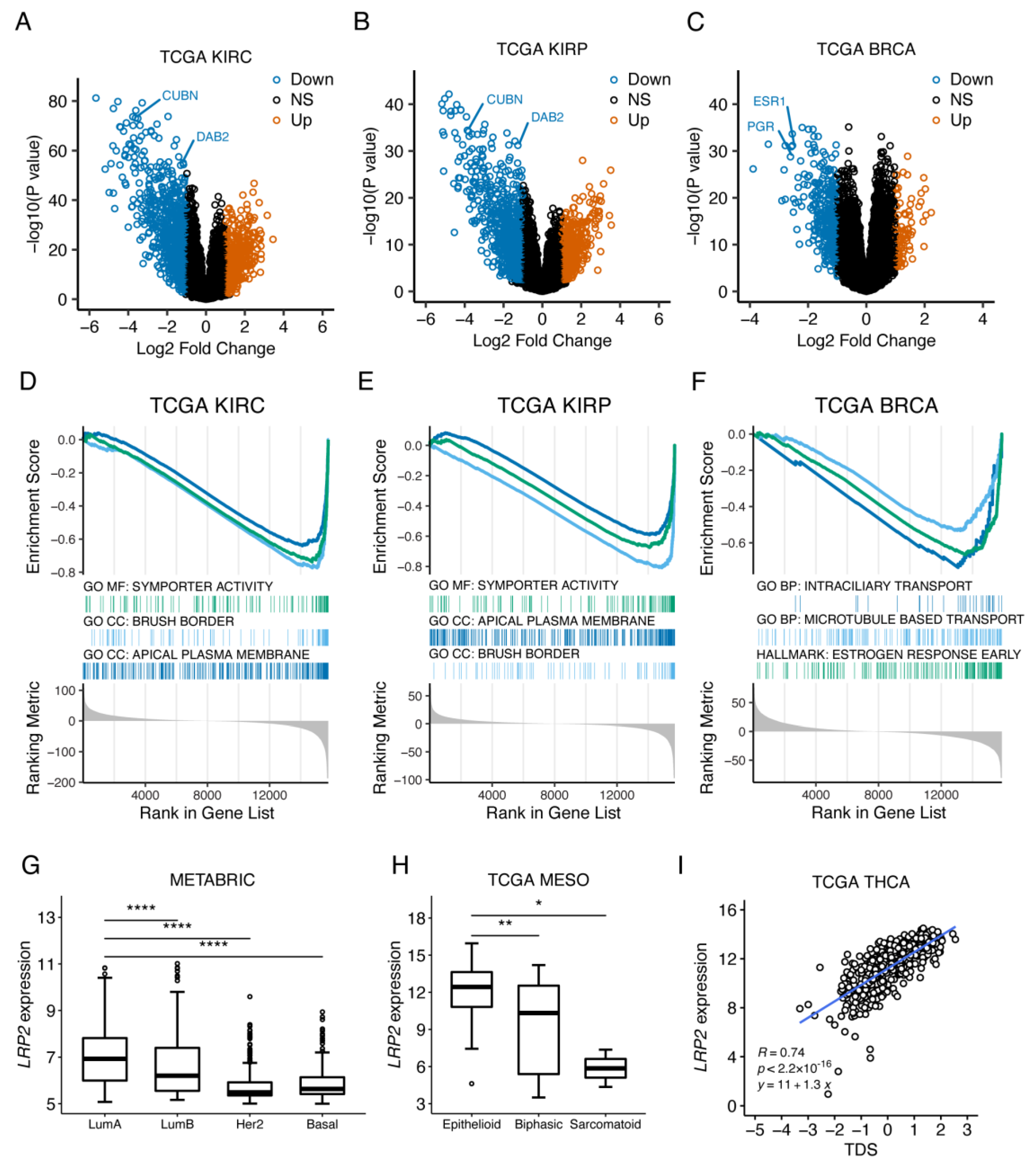 Cancers 15 01830 g008