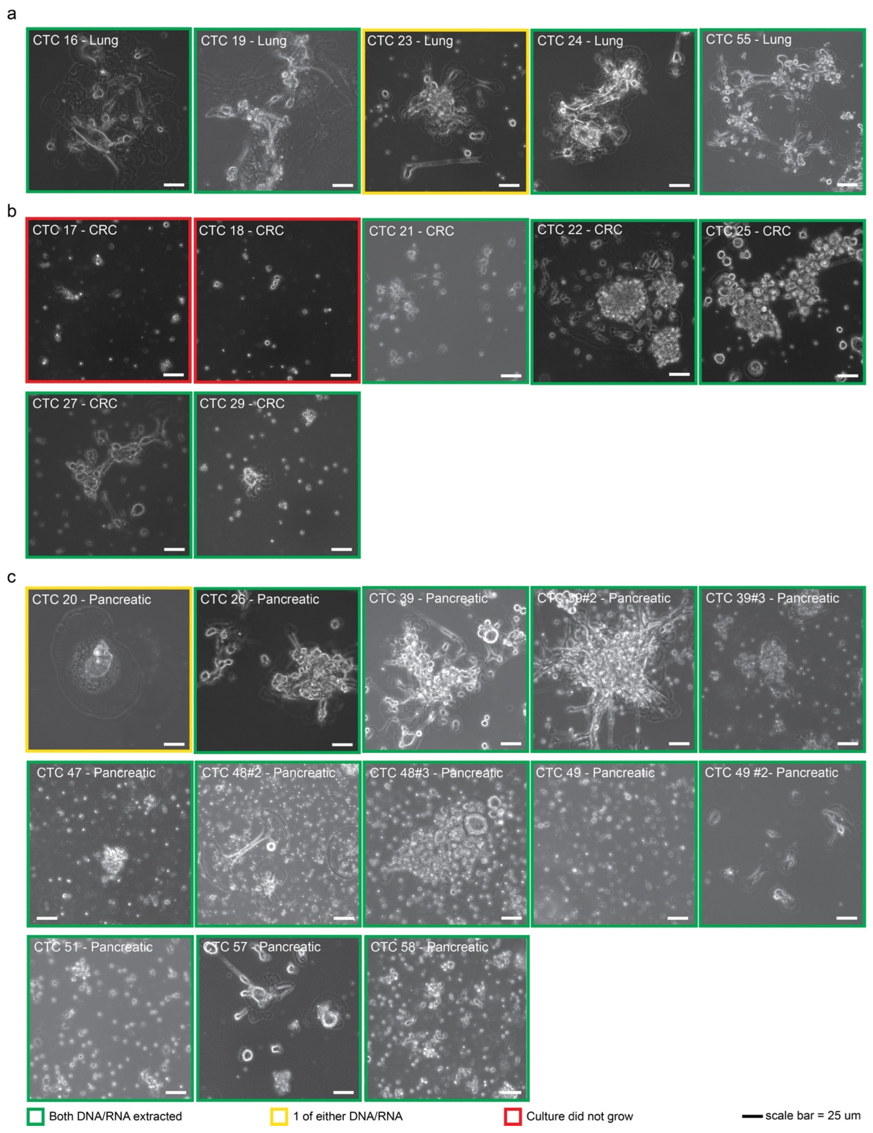 Cancers 15 01831 g001