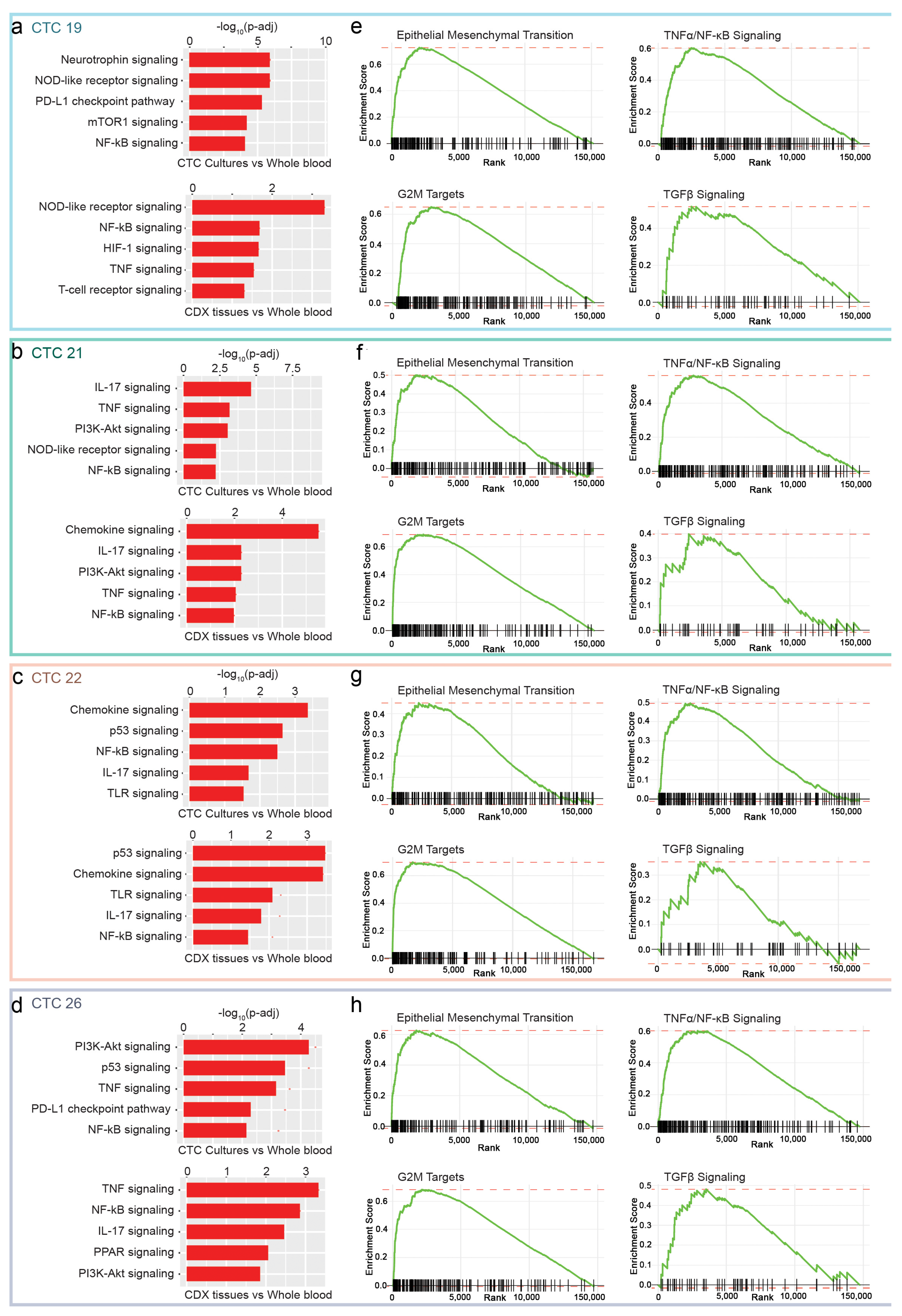 Cancers 15 01831 g005