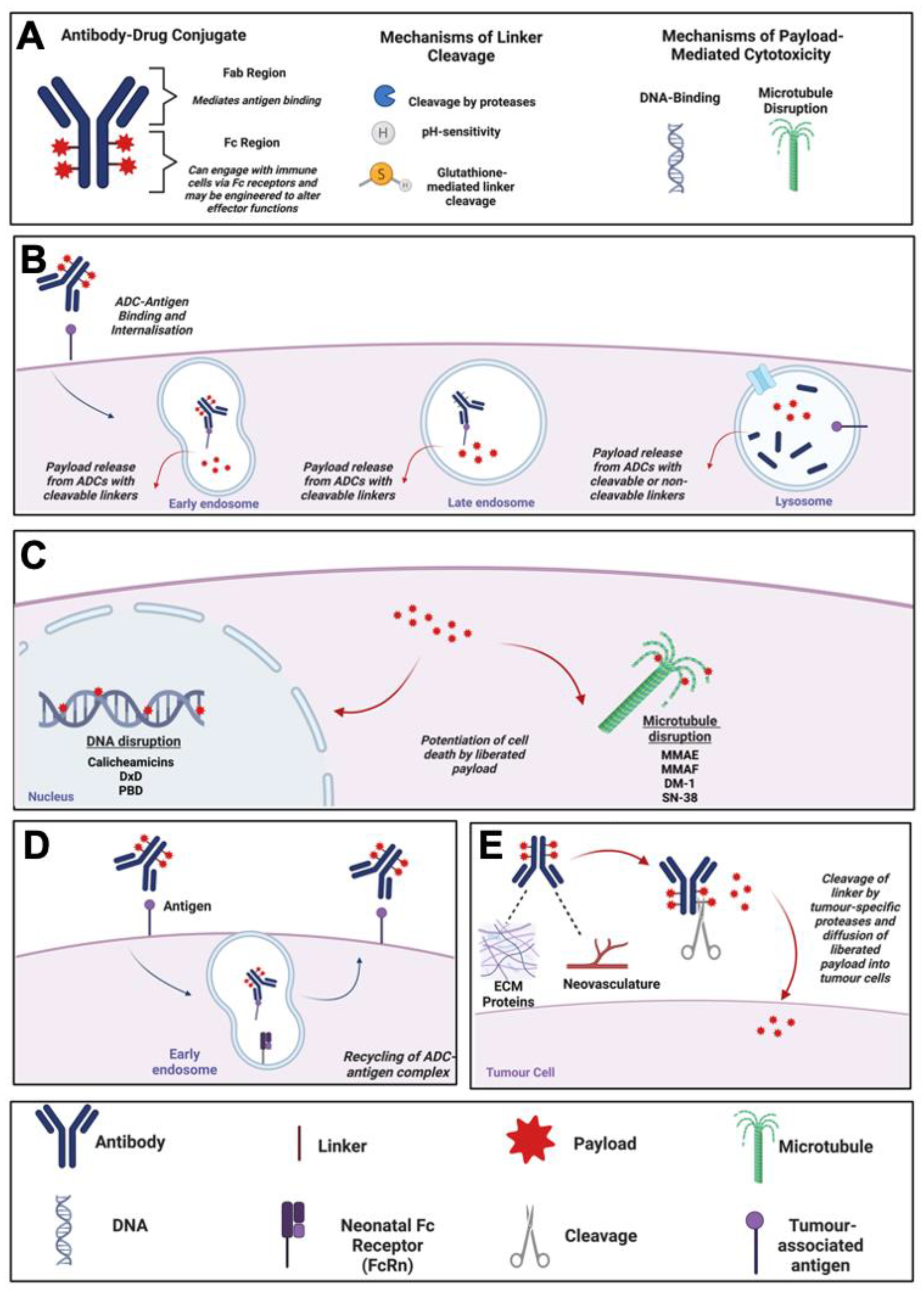 Cancers 15 01845 g001
