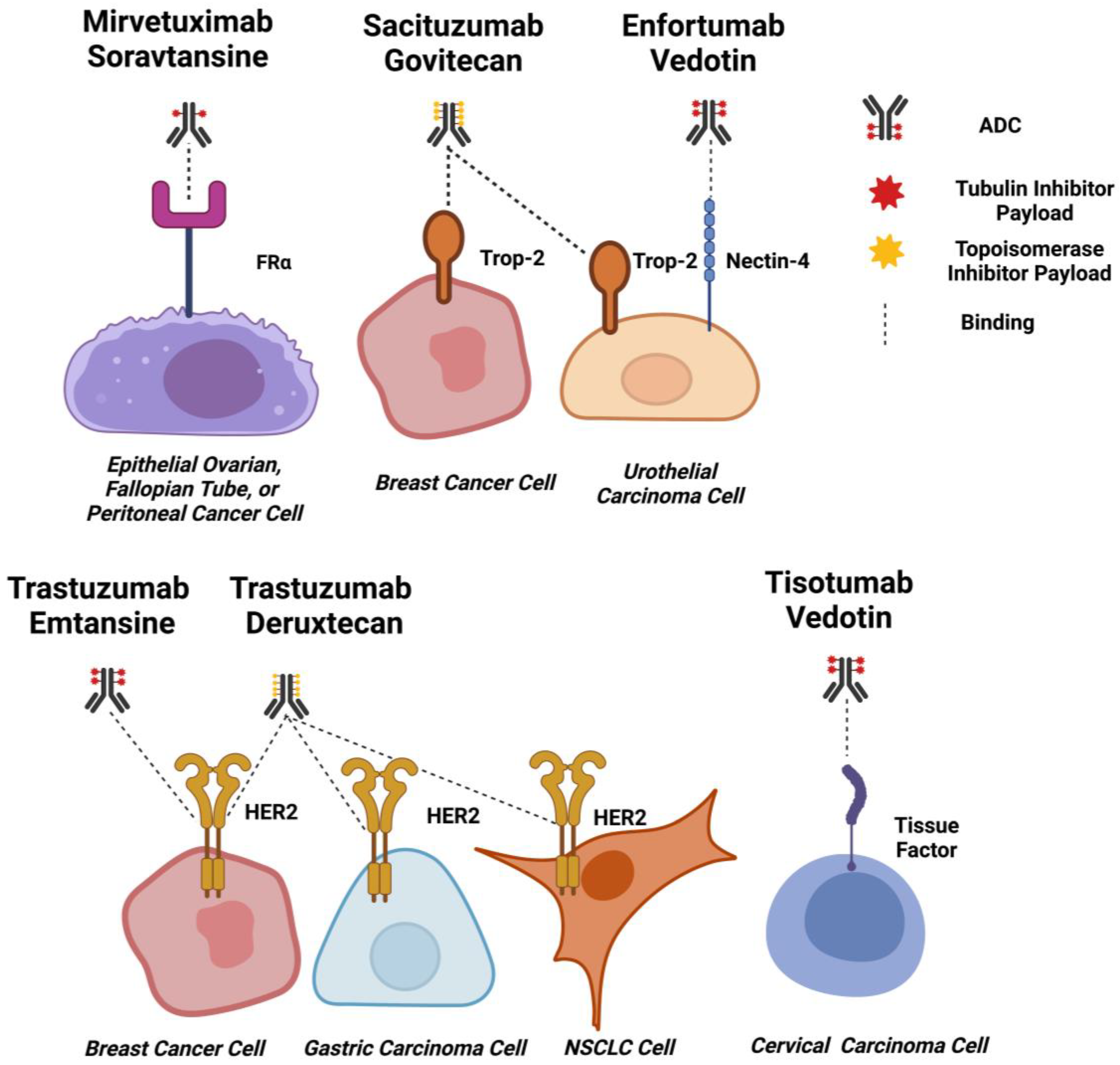 Cancers 15 01845 g003