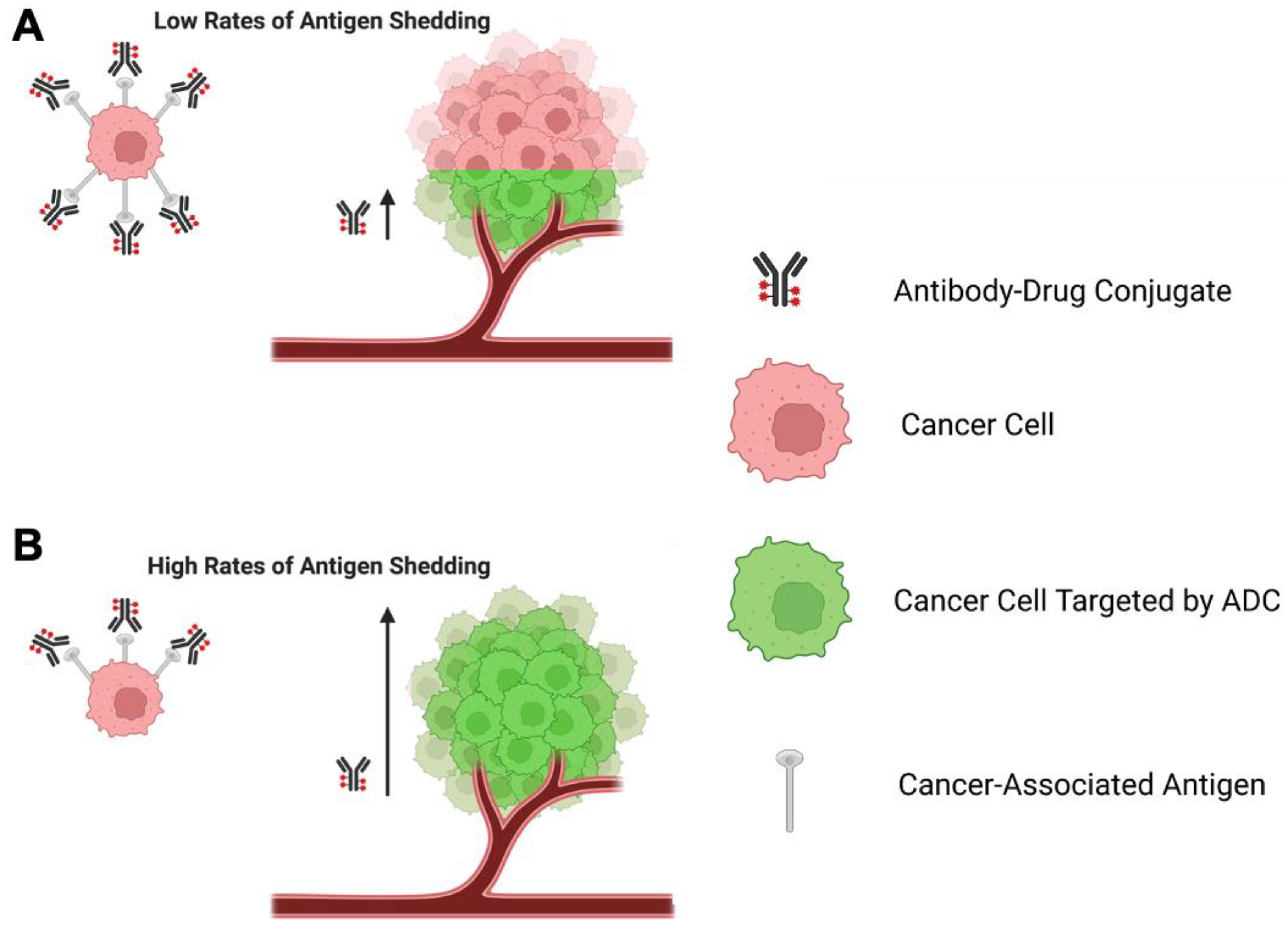 Cancers 15 01845 g004