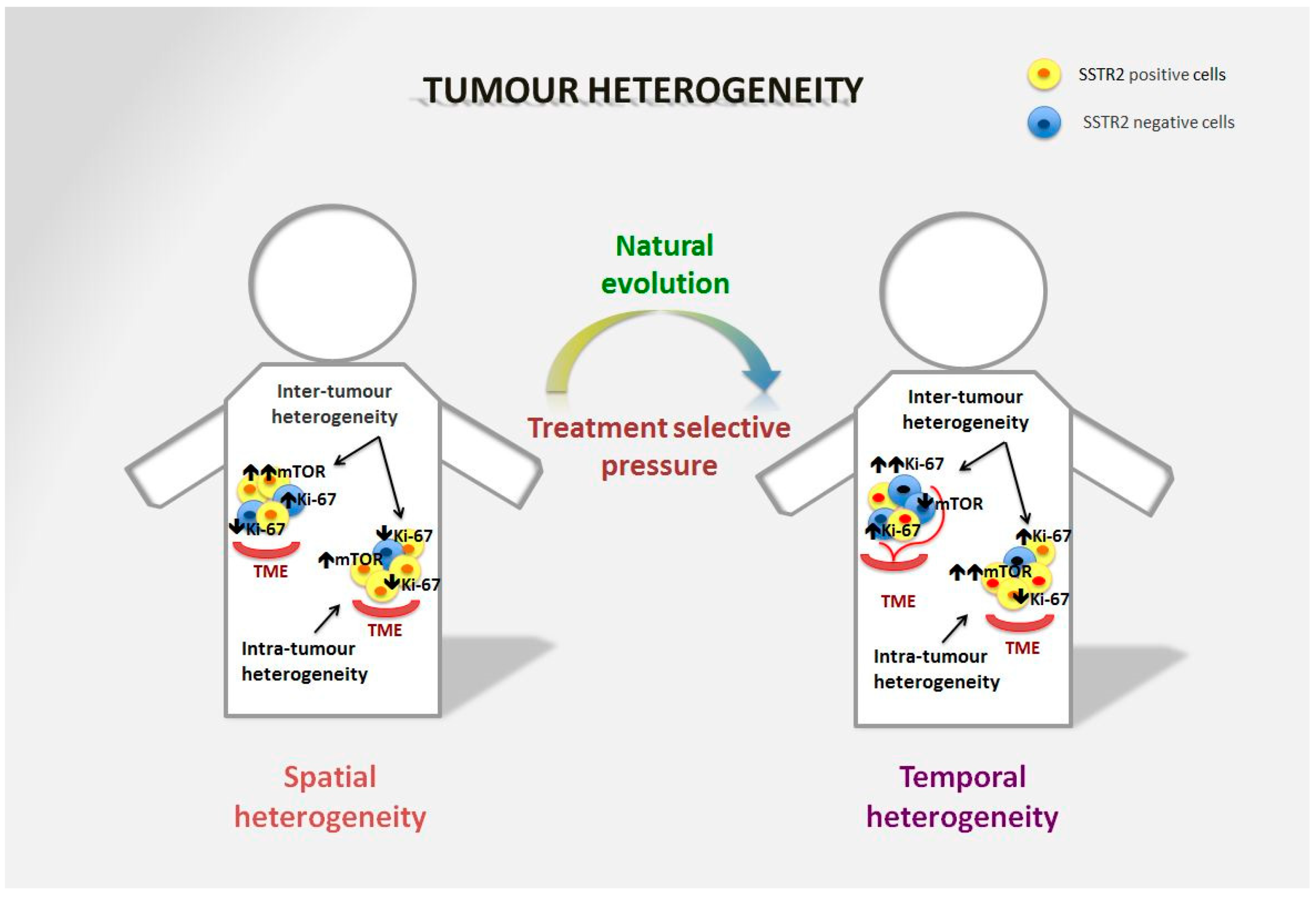 Cancers 15 01861 g001