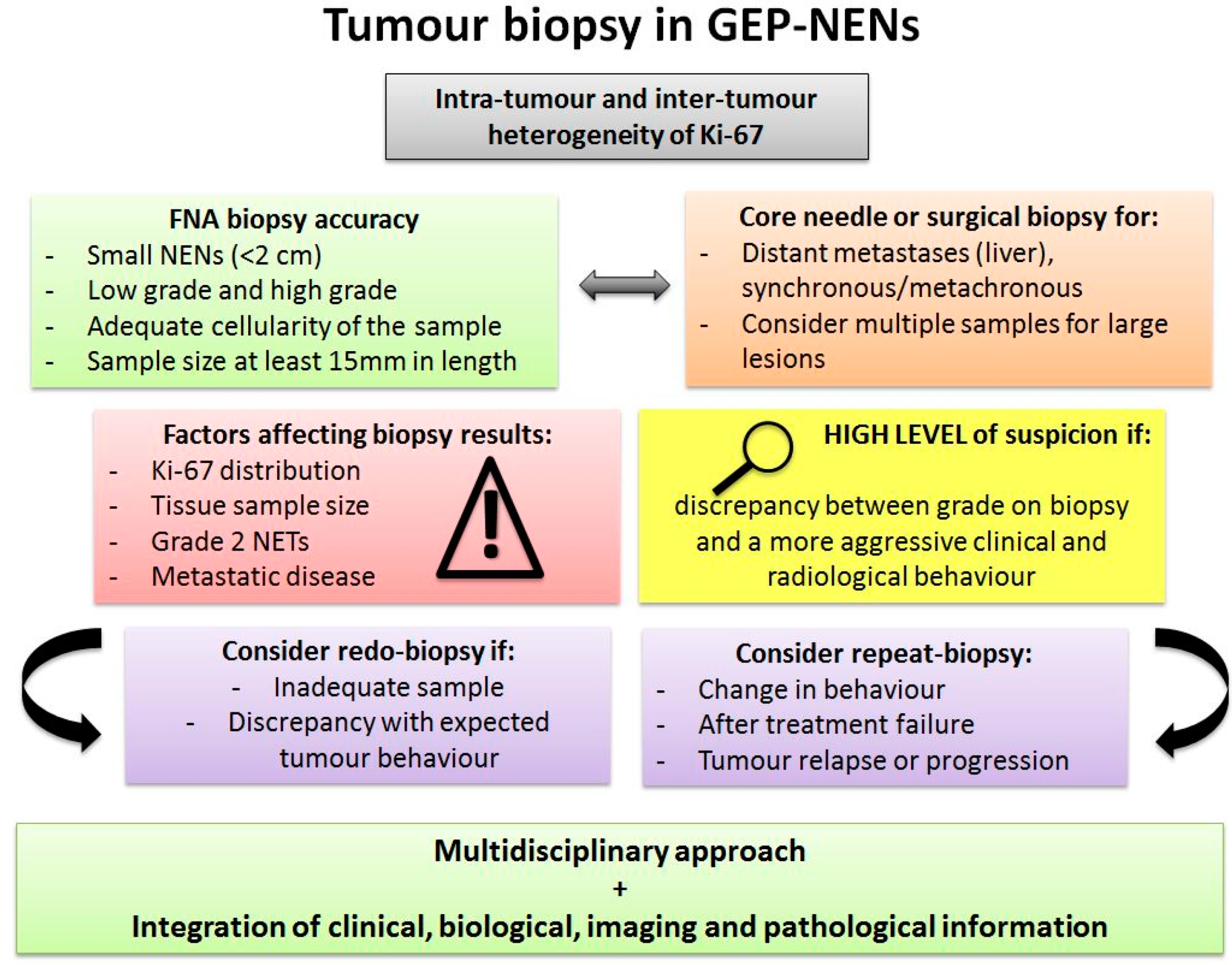 Cancers 15 01861 g003