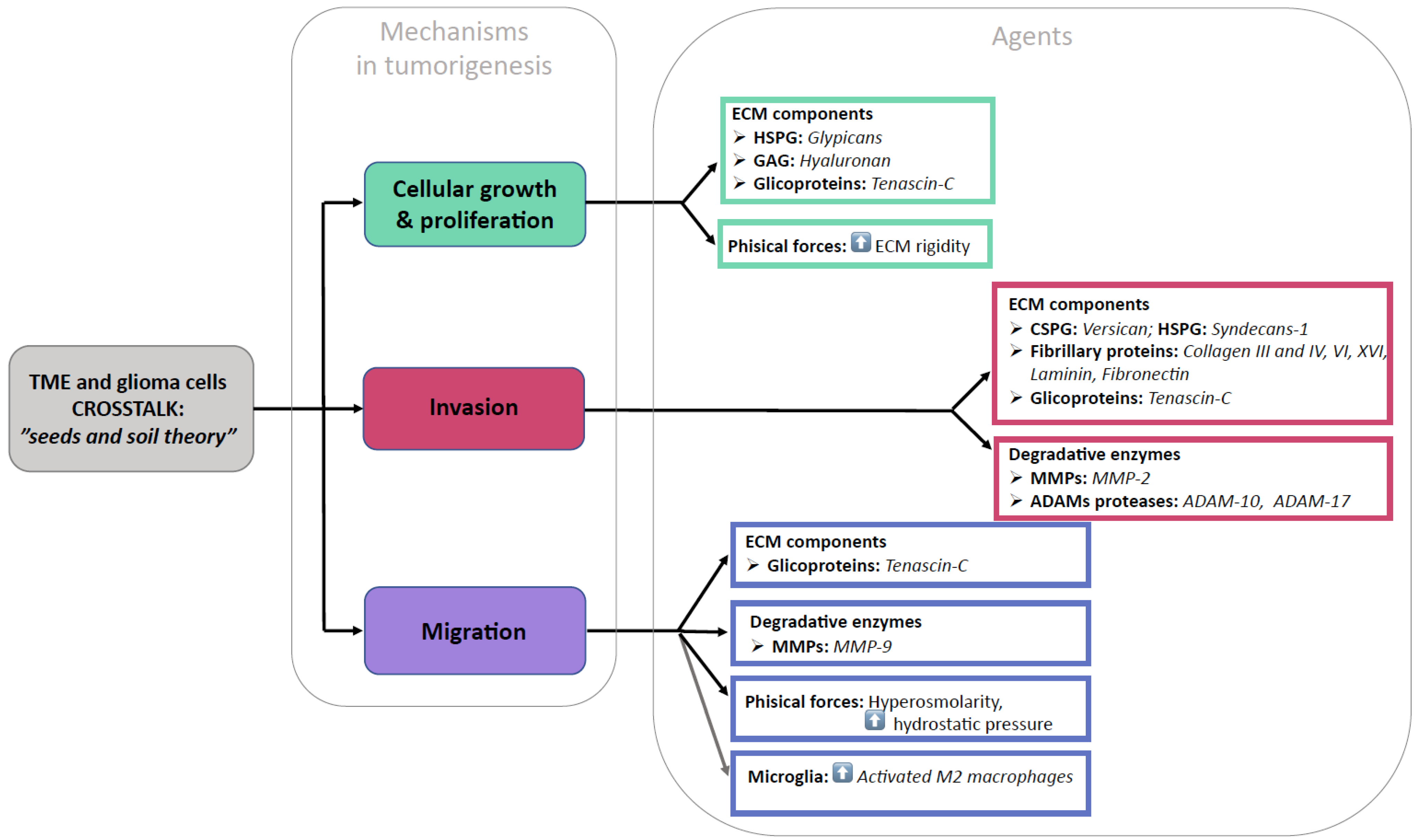 Cancers 15 01879 g002