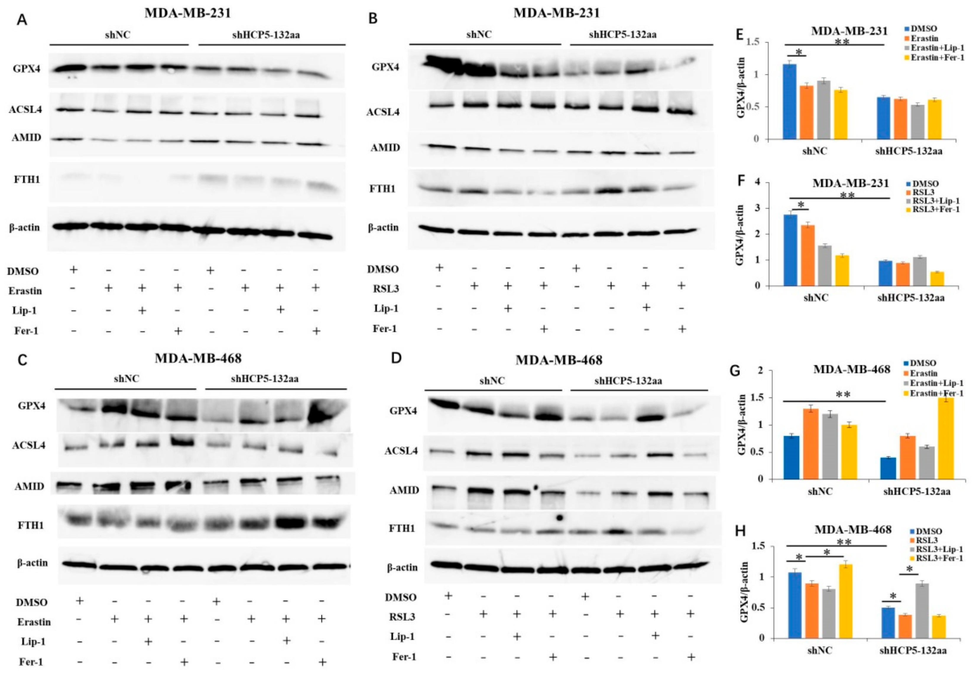Cancers 15 01880 g005