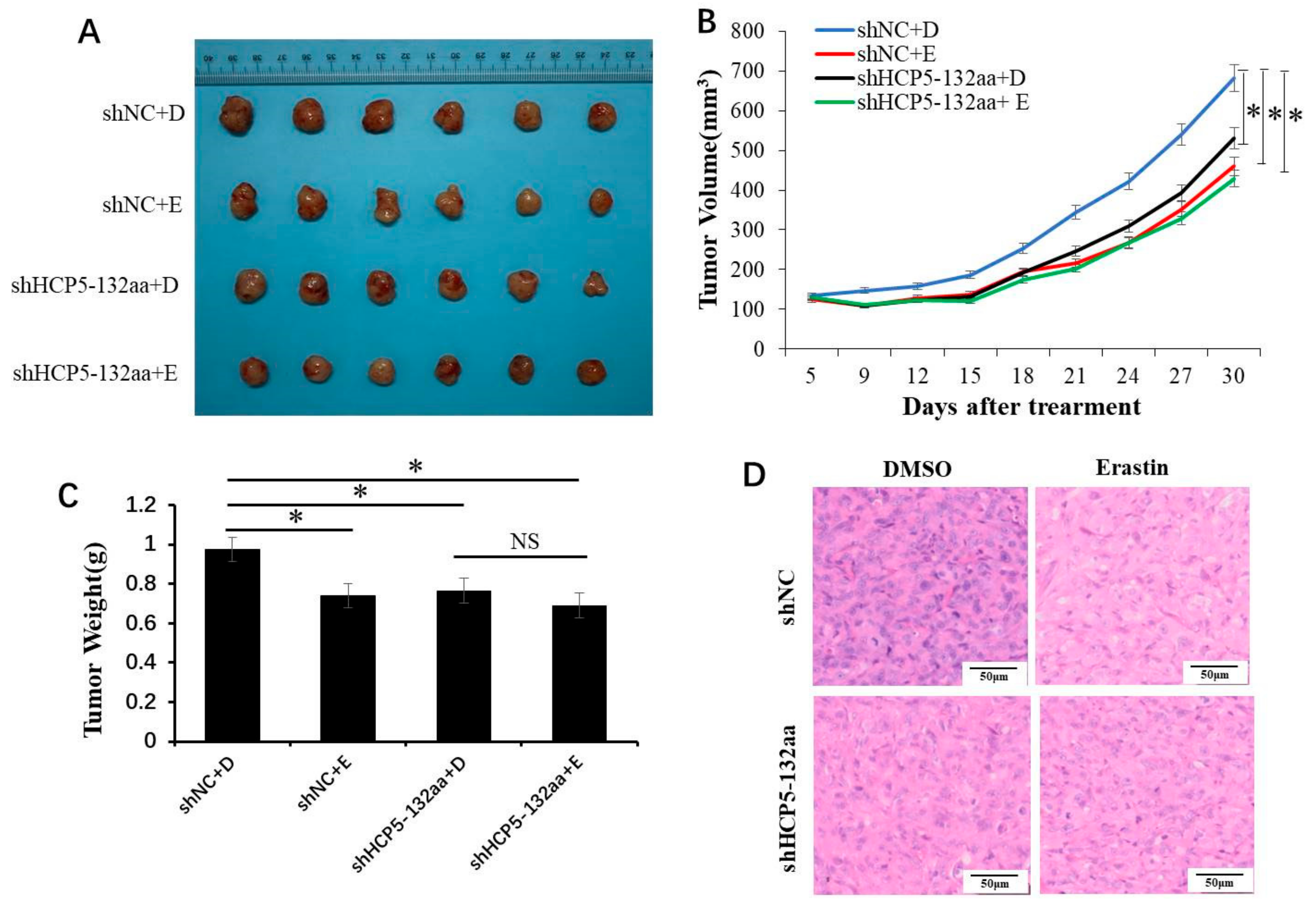 Cancers 15 01880 g006