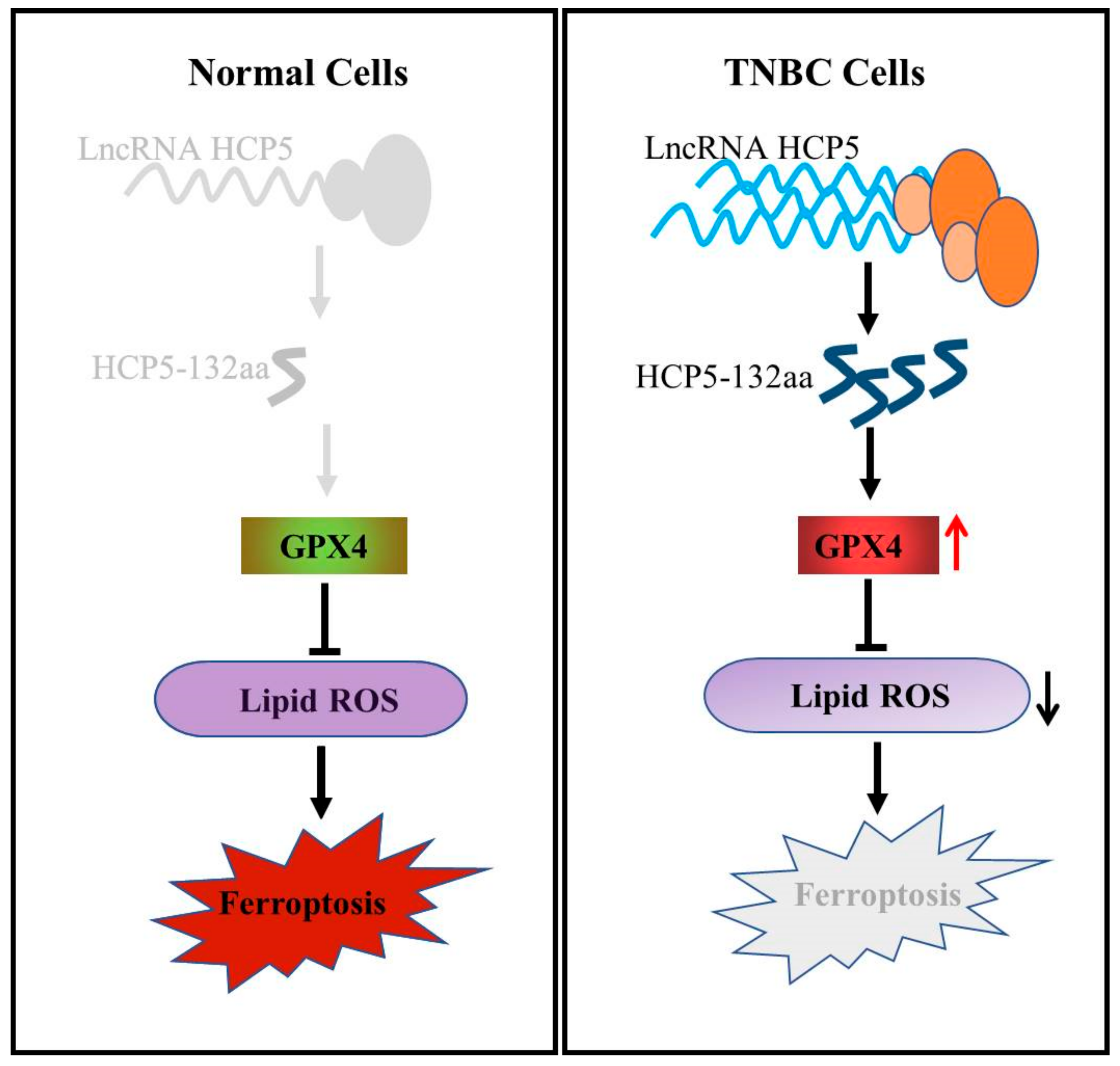 Cancers 15 01880 g007