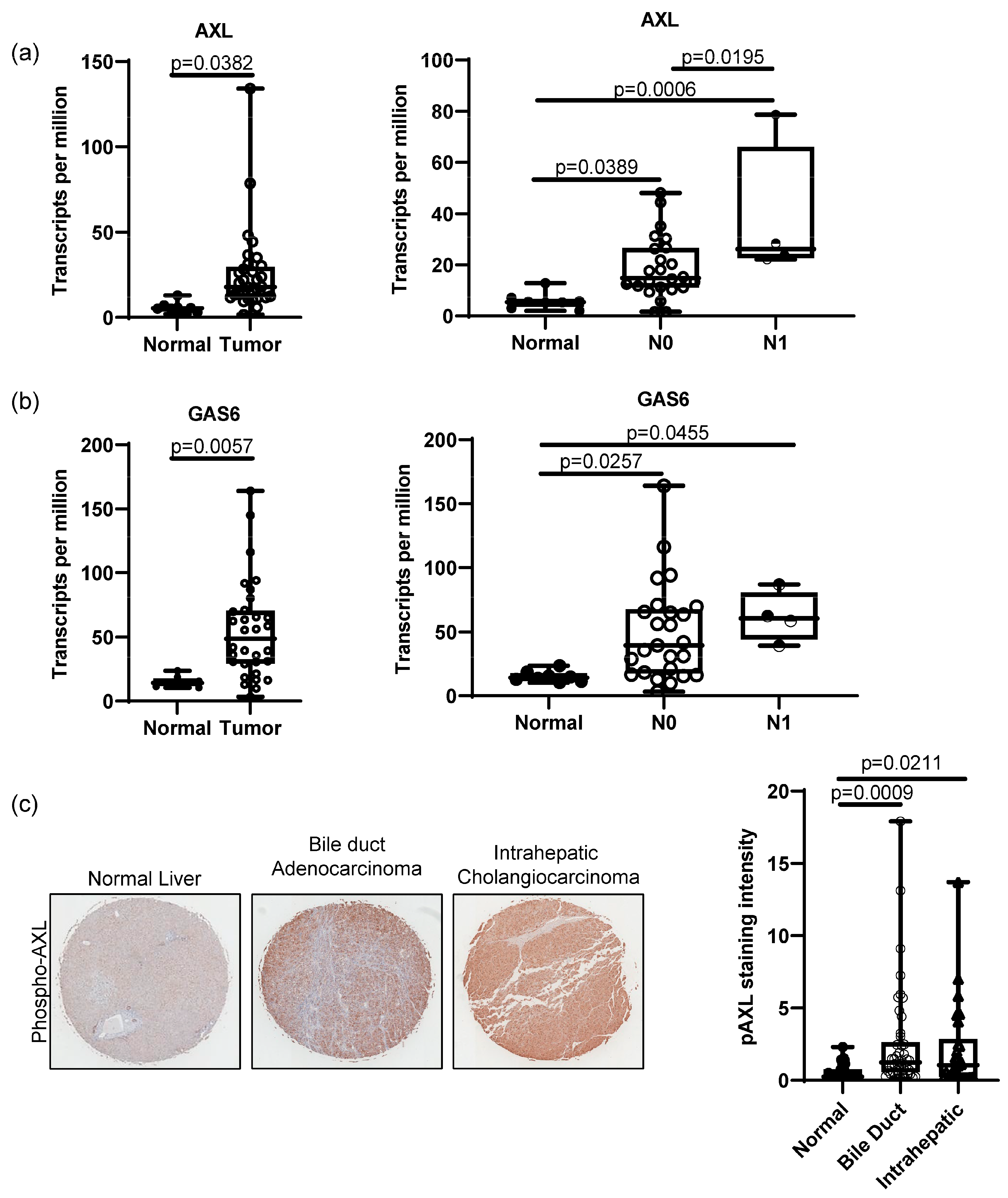 Cancers 15 01882 g001 Cancers 15 01882 g001